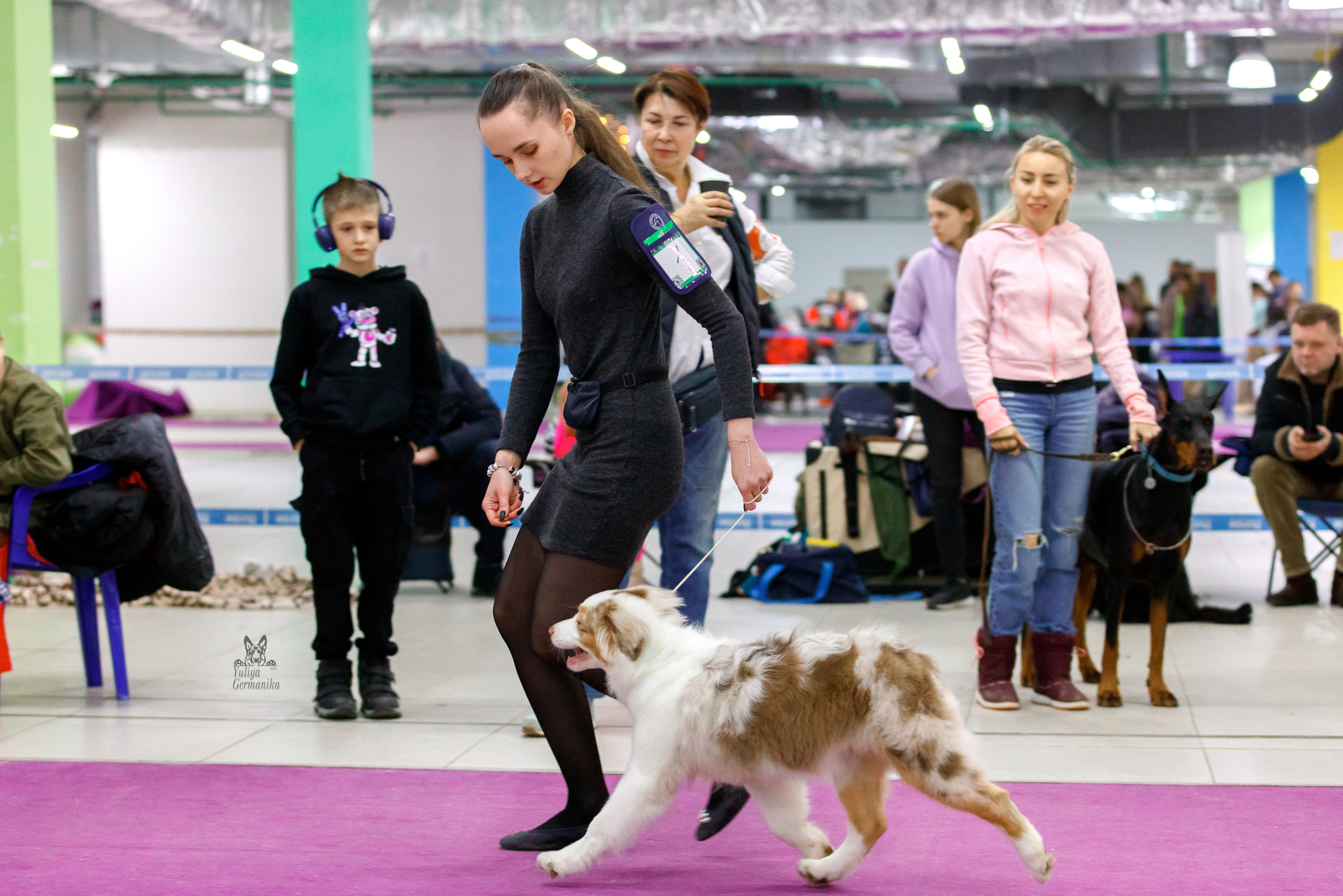 Чайна-Таун 3 и 10.12.2022. Фотограф-анималист Юлия Германика