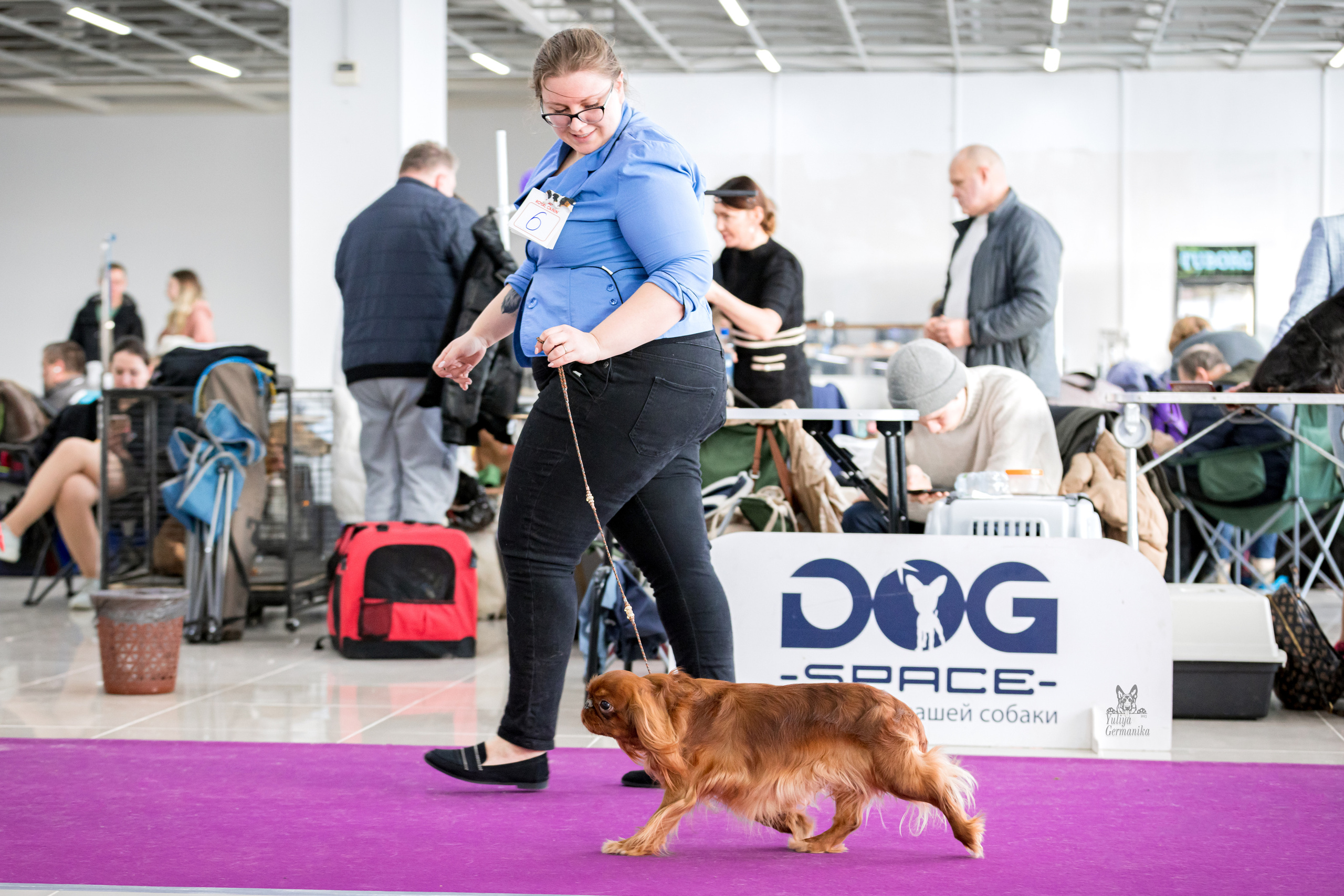 Можайский двор 11-12.02.2023. Фотограф-анималист Юлия Германика