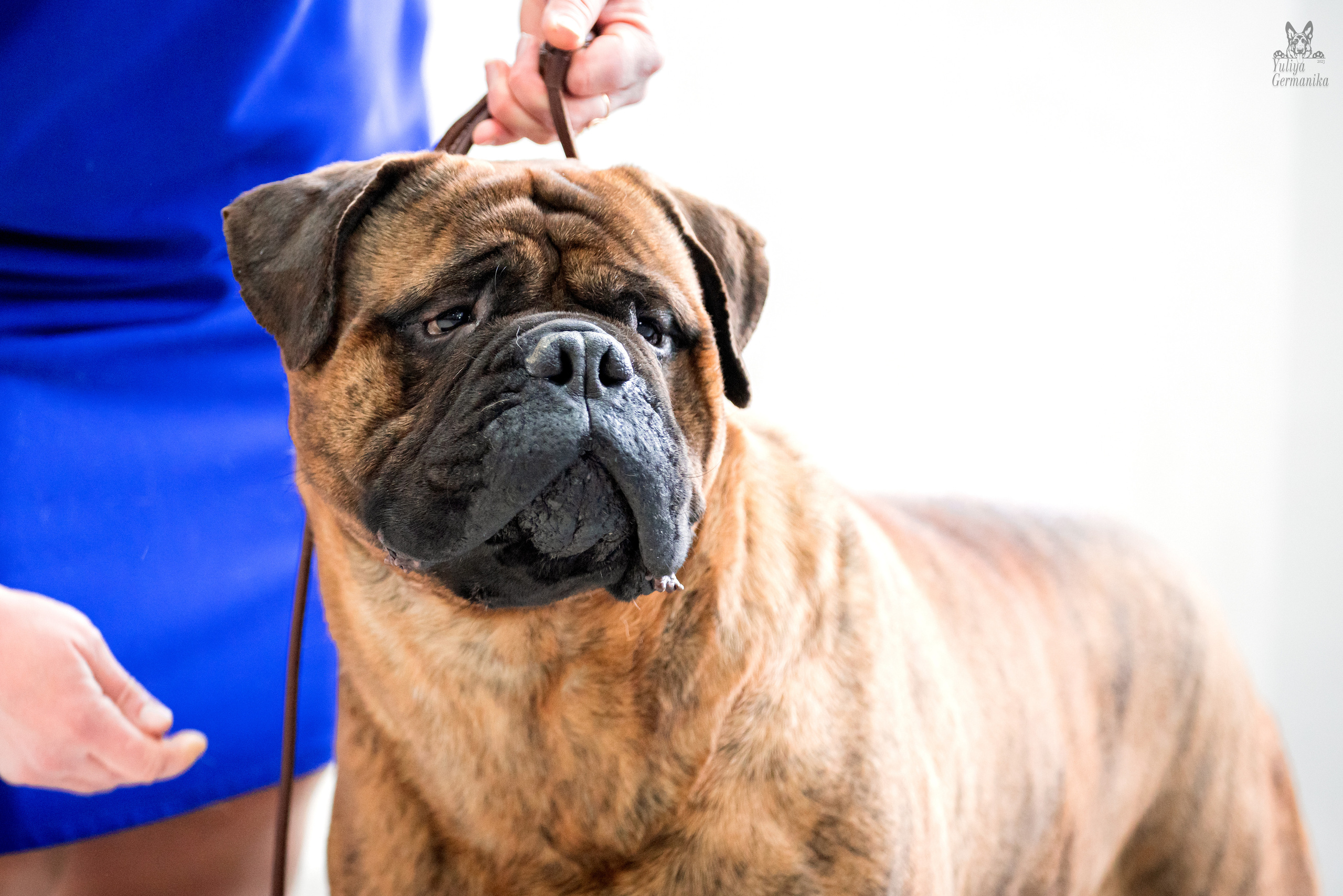 Тверь 19.02.2023