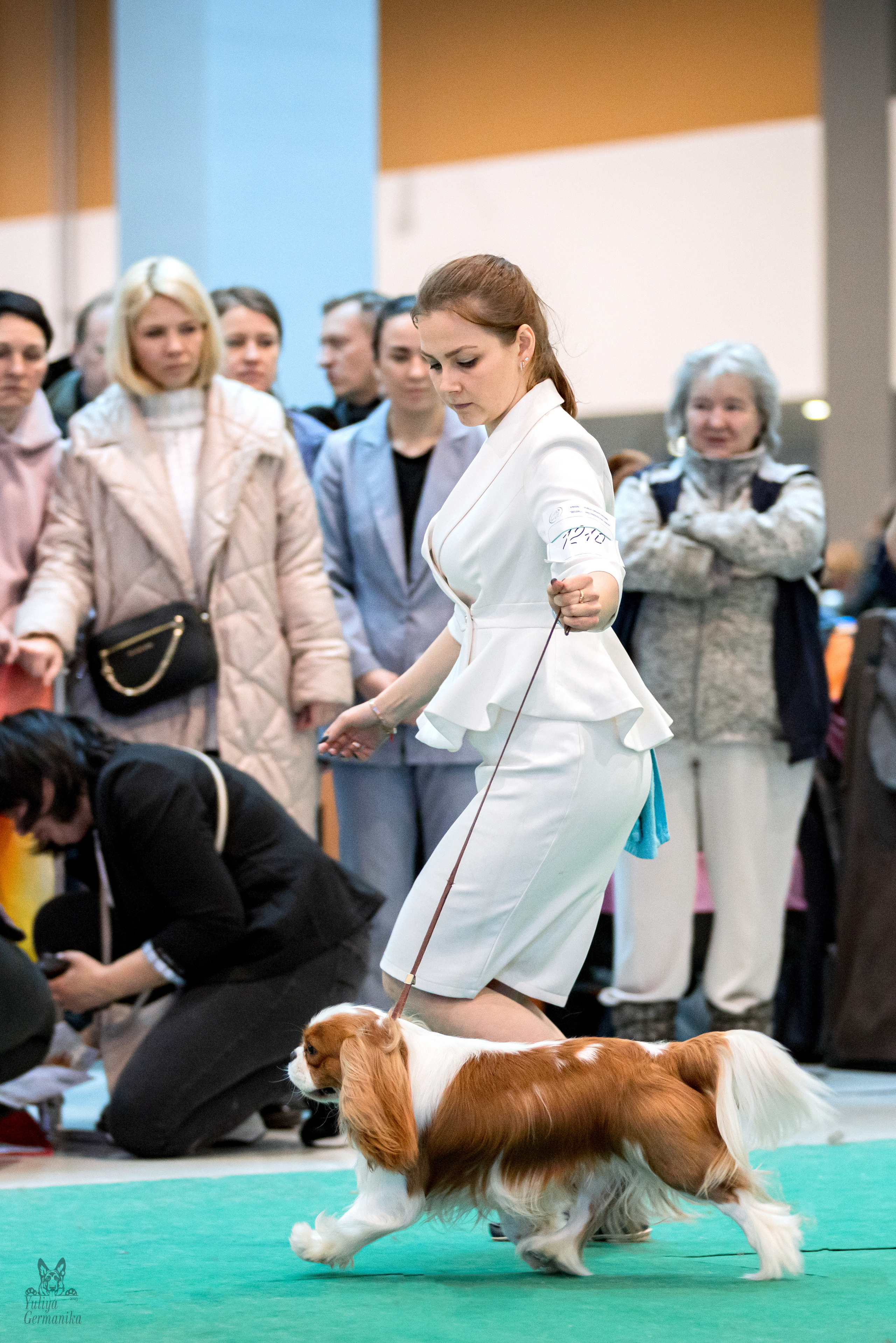 Минск 25-26.02.2023. Фотограф-анималист Юлия Германика