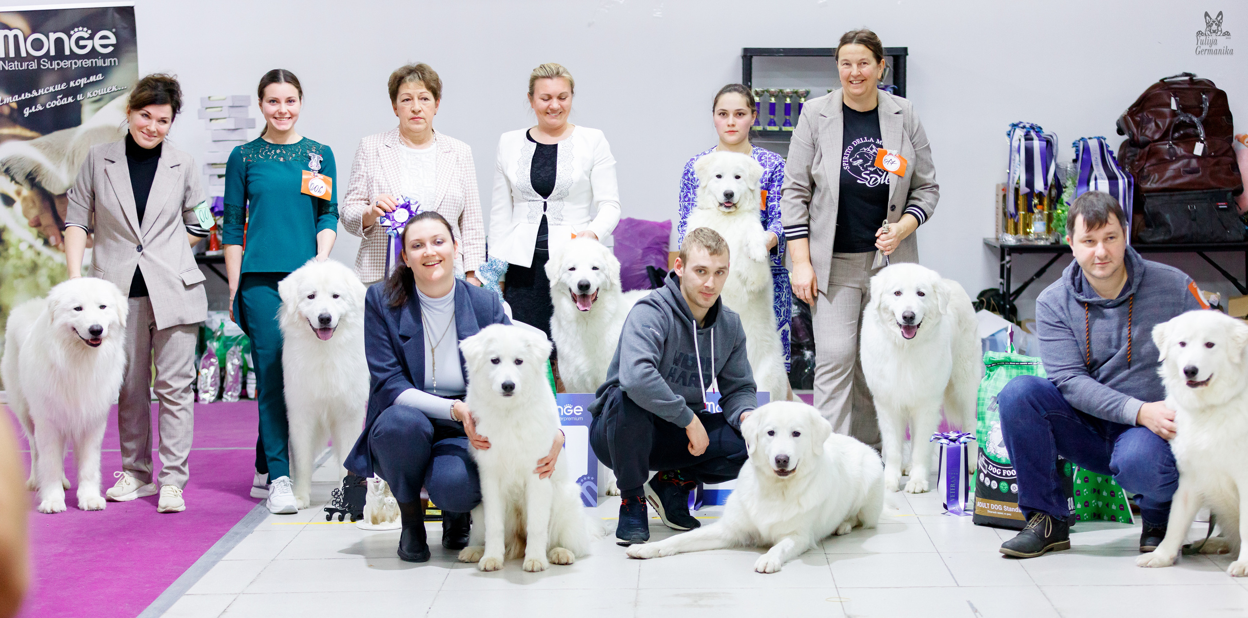 Чайна-Таун 24-25.12.2022. Фотограф-анималист Юлия Германика