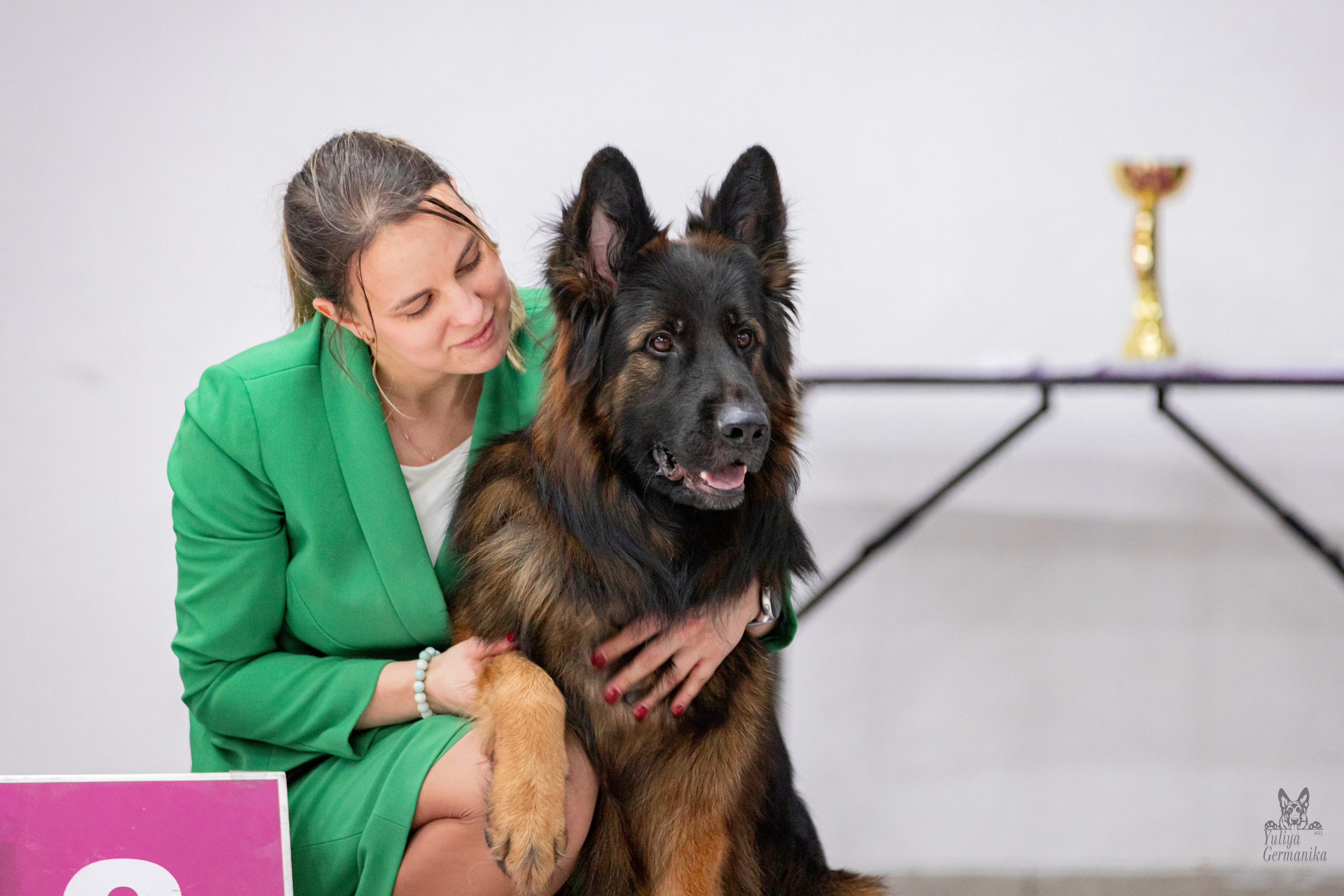 Чайна-Таун 15,21 и 22.01.2023. Фотограф-анималист Юлия Германика