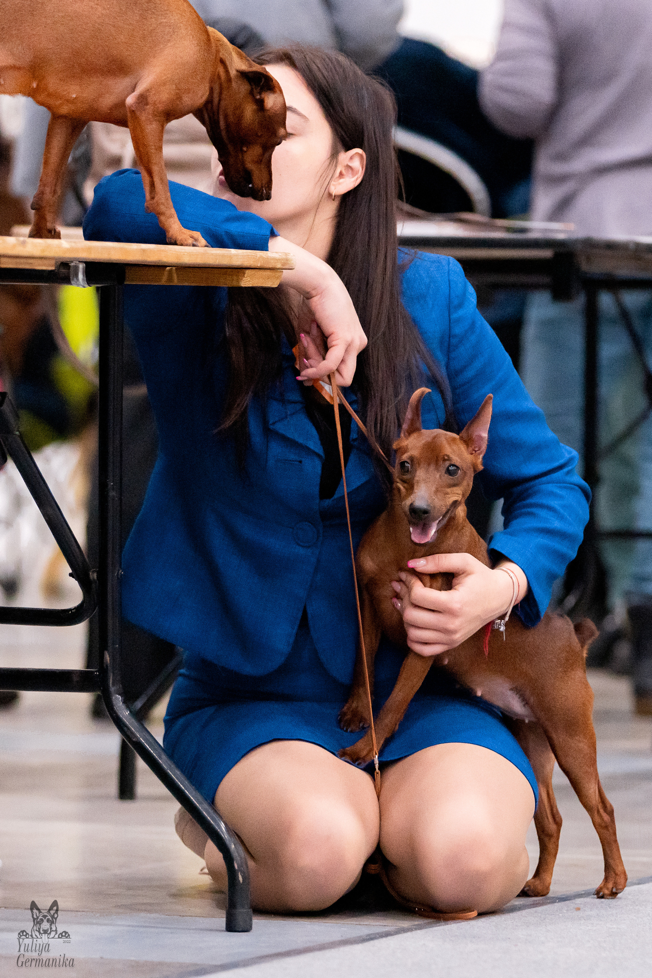 Питер 17-18.12.2022. Фотограф-анималист Юлия Германика