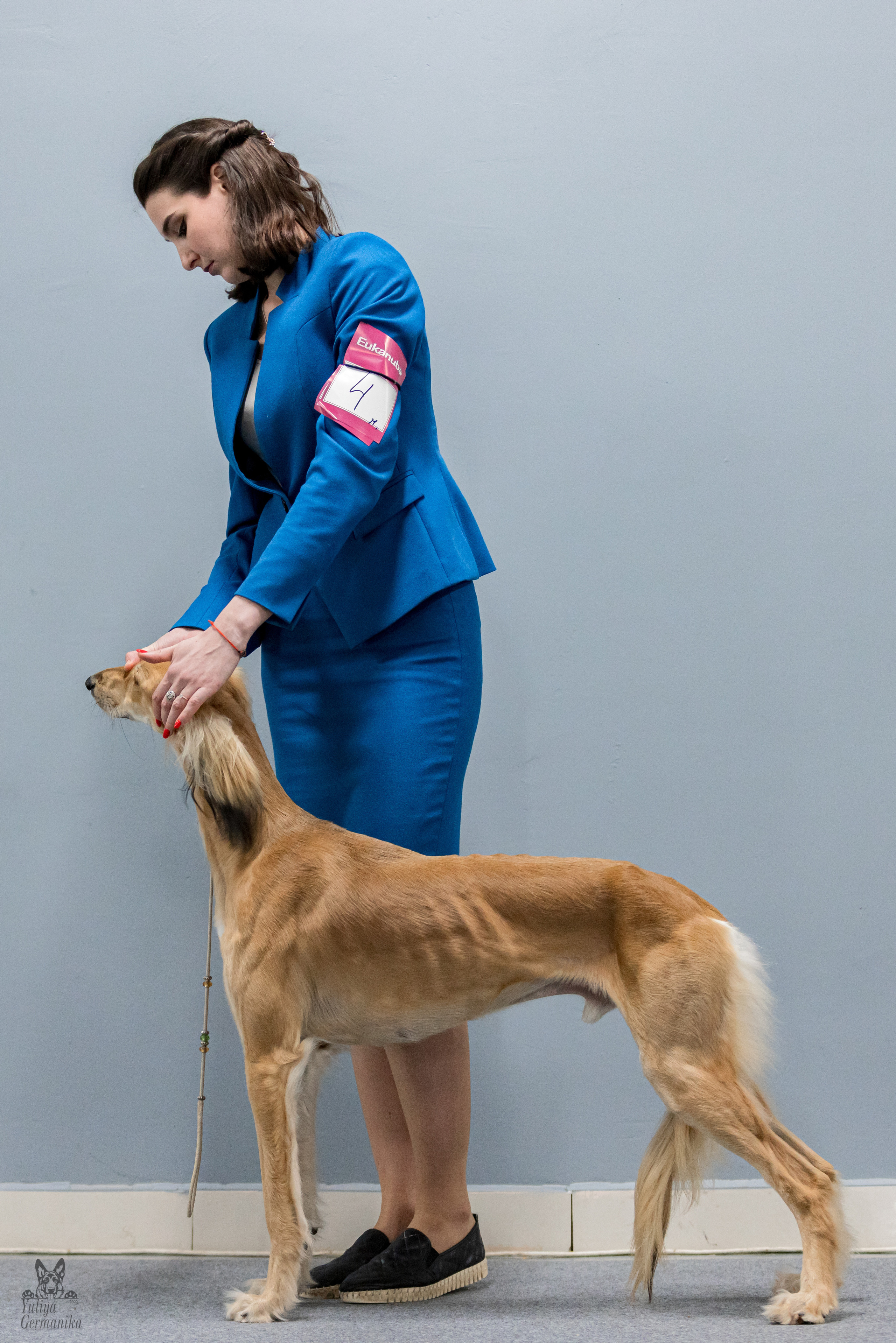 Сфера 5.03.2023. Фотограф-анималист Юлия Германика