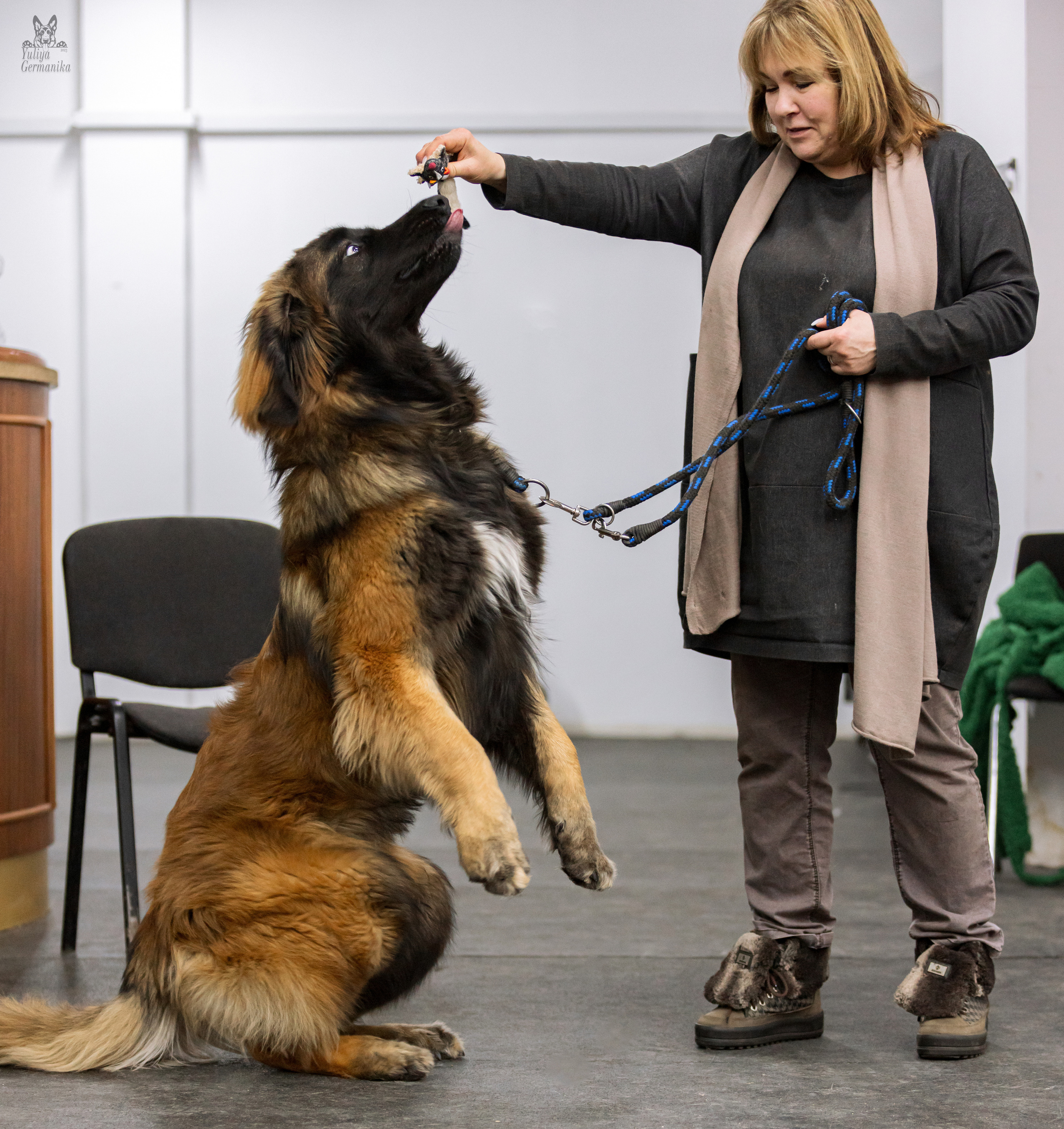 Чайна-Таун 4-5.02.2023. Фотограф-анималист Юлия Германика