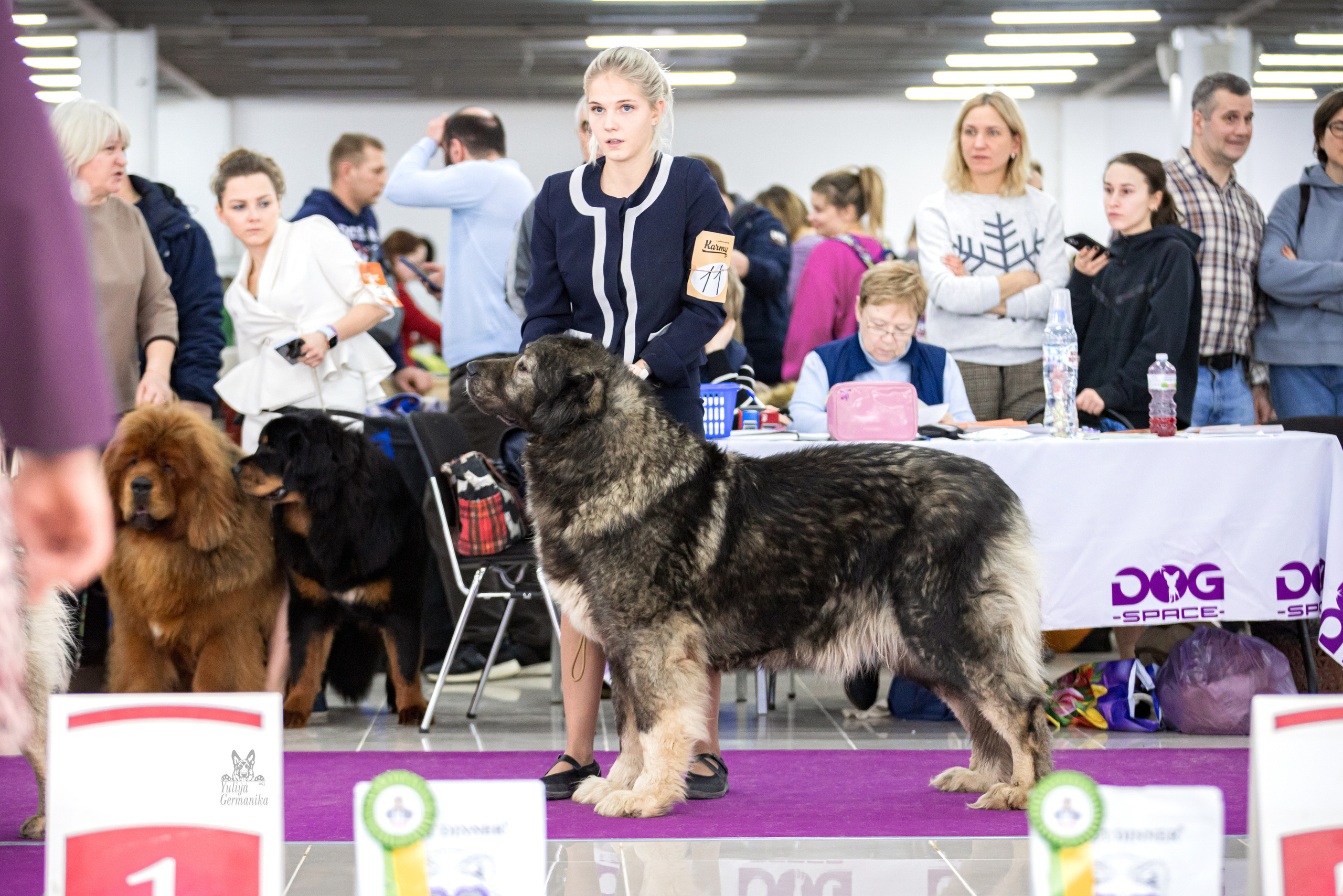 Можайский двор 11-12.02.2023. Фотограф-анималист Юлия Германика