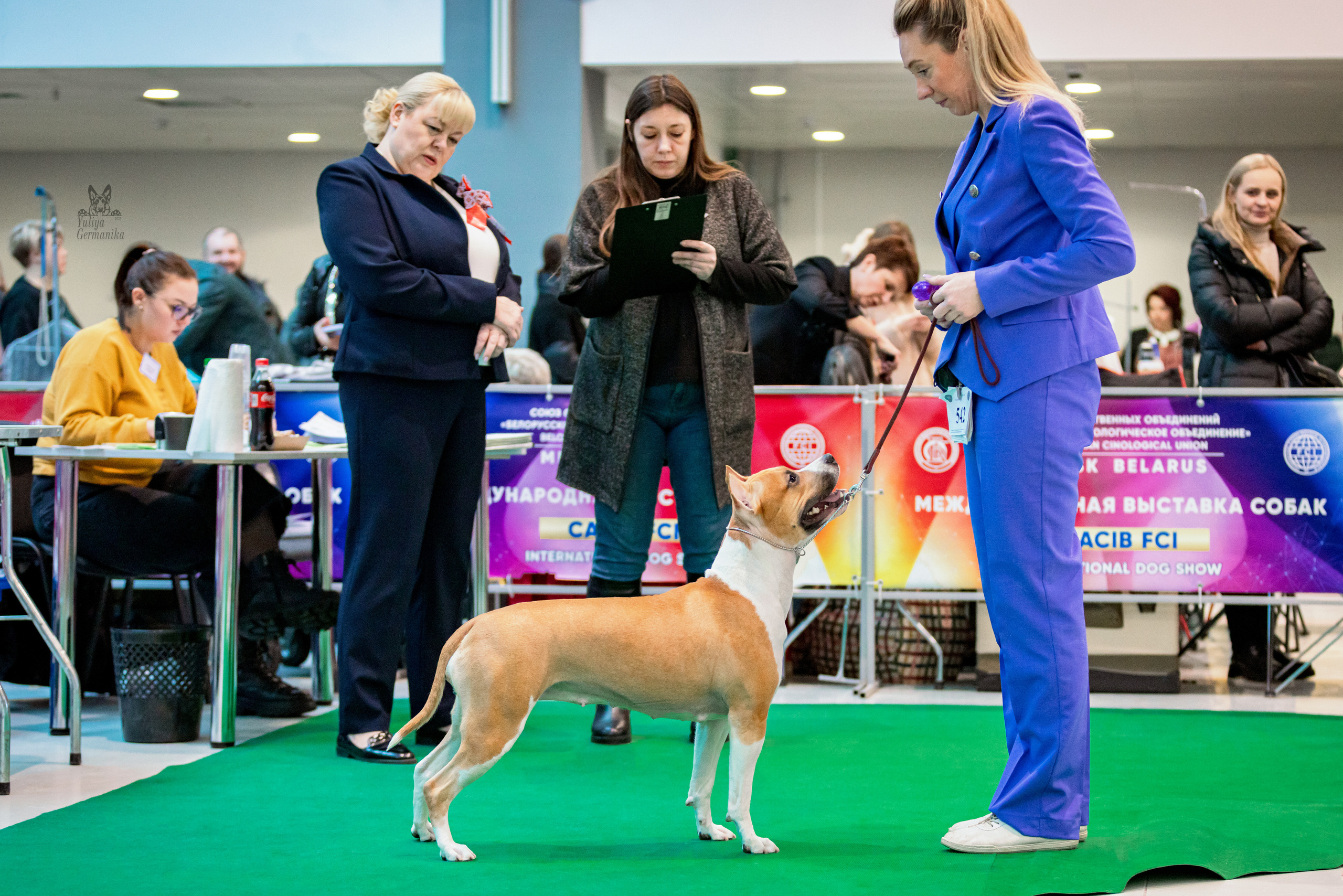 Минск 25-26.02.2023. Фотограф-анималист Юлия Германика