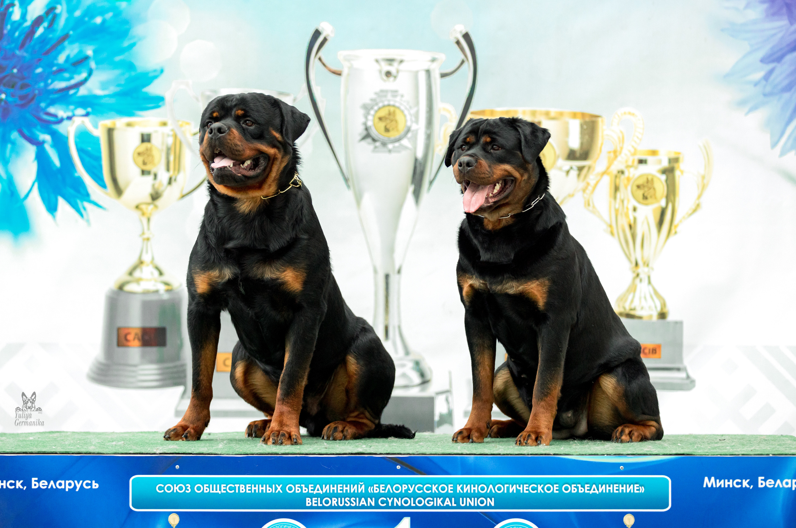 Минск 25-26.02.2023. Фотограф-анималист Юлия Германика