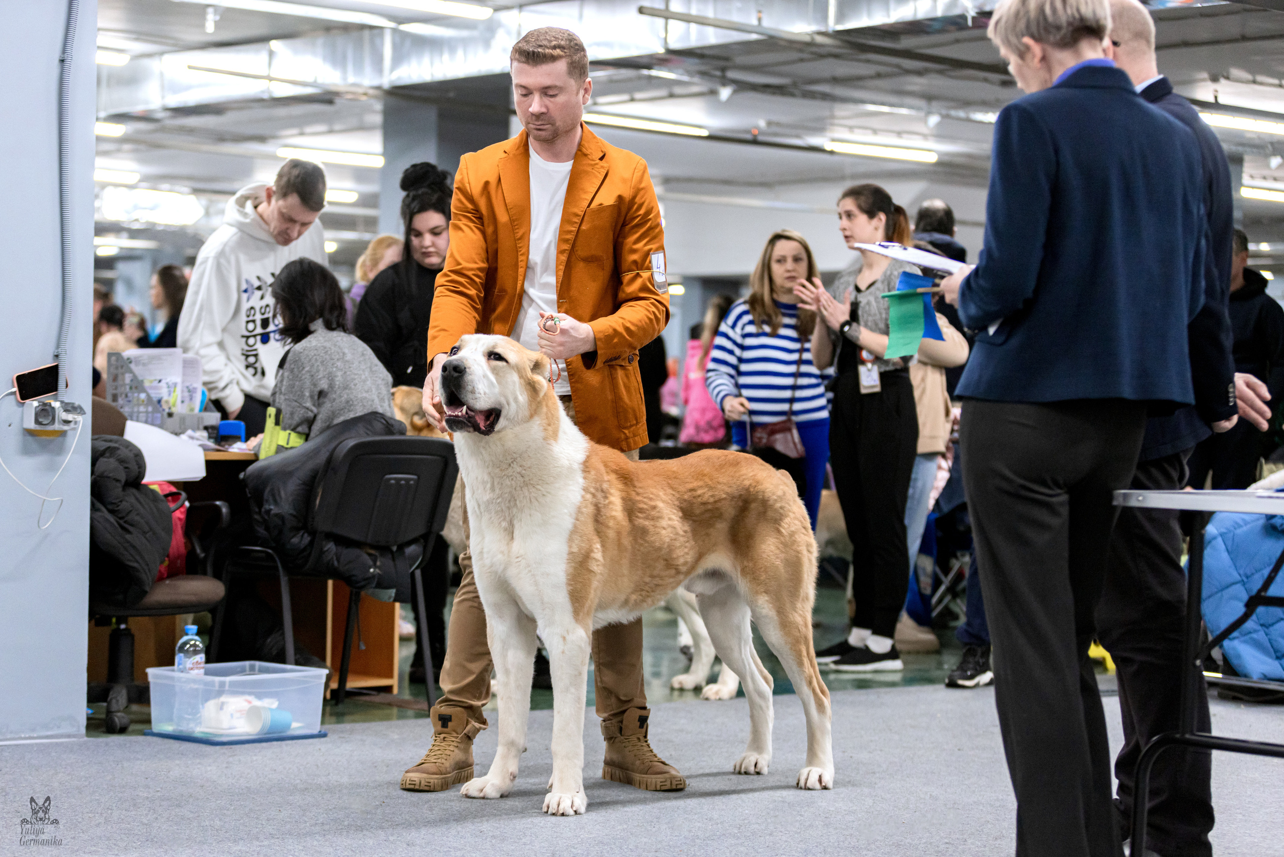 Сфера 5.03.2023. Фотограф-анималист Юлия Германика