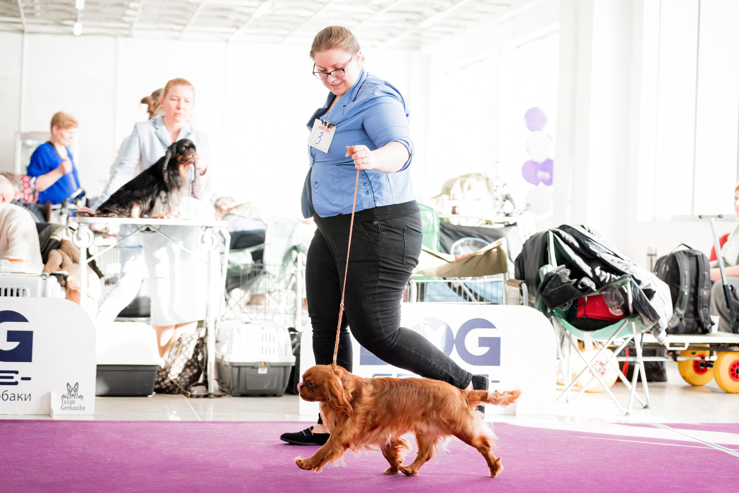 Можайский двор 11-12.02.2023. Фотограф-анималист Юлия Германика