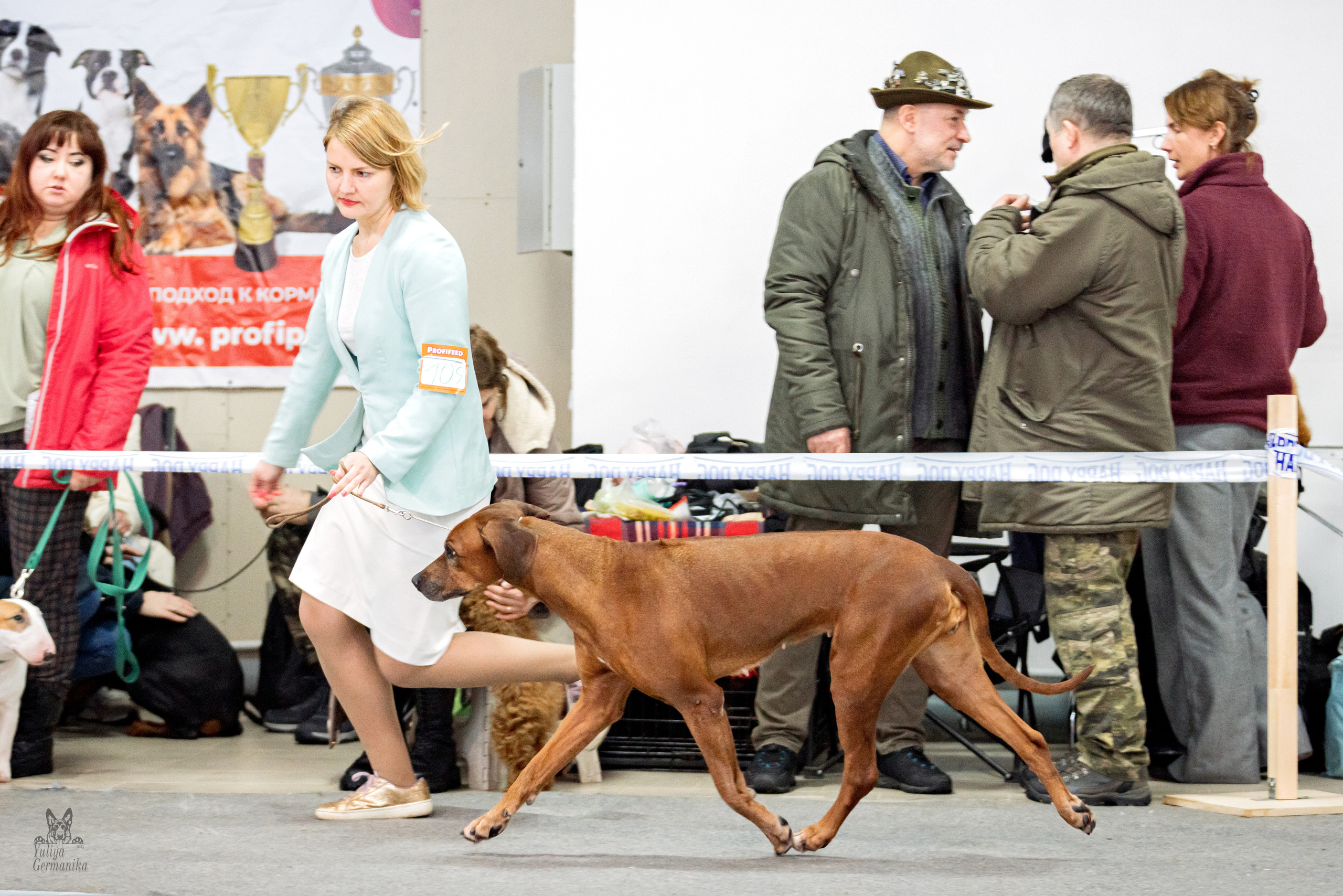 Тверь 19.02.2023. Фотограф-анималист Юлия Германика