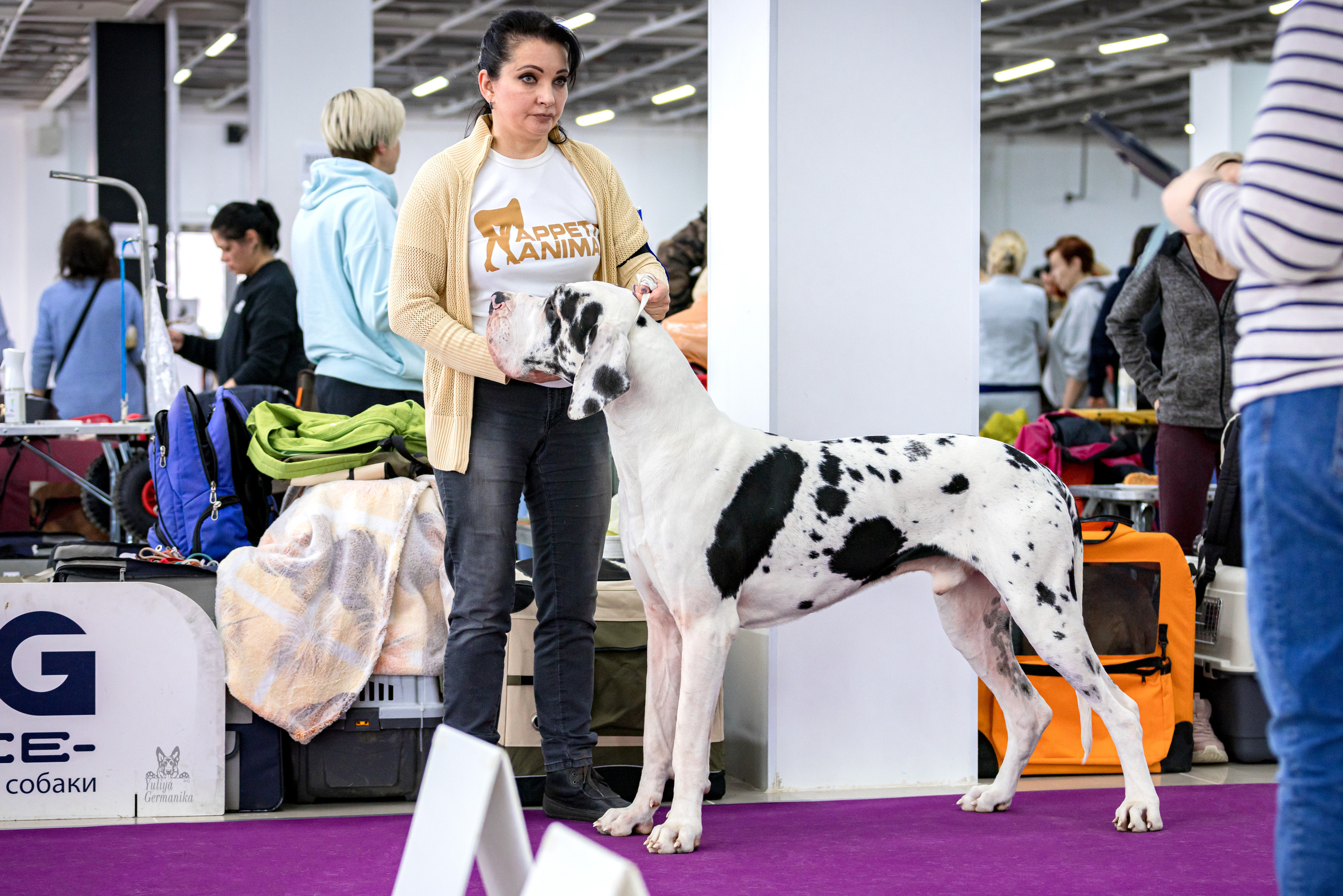 Можайский двор 11-12.02.2023. Фотограф-анималист Юлия Германика