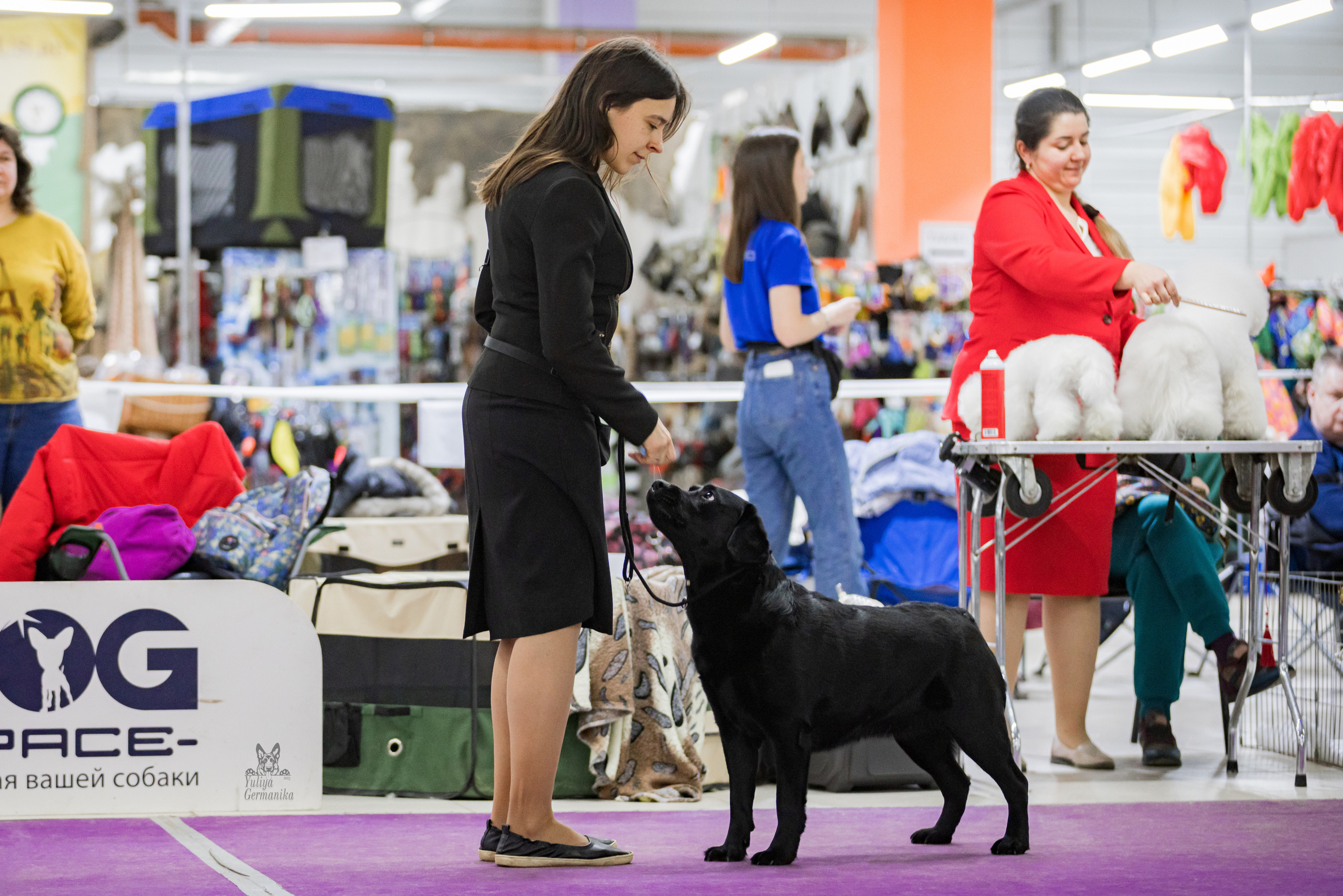 Чайна-Таун 4-5.02.2023. Фотограф-анималист Юлия Германика