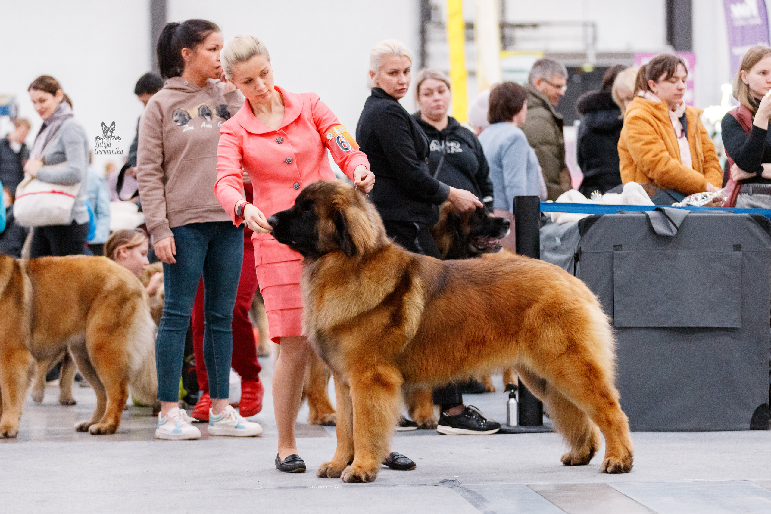 Питер 17-18.12.2022. Фотограф-анималист Юлия Германика