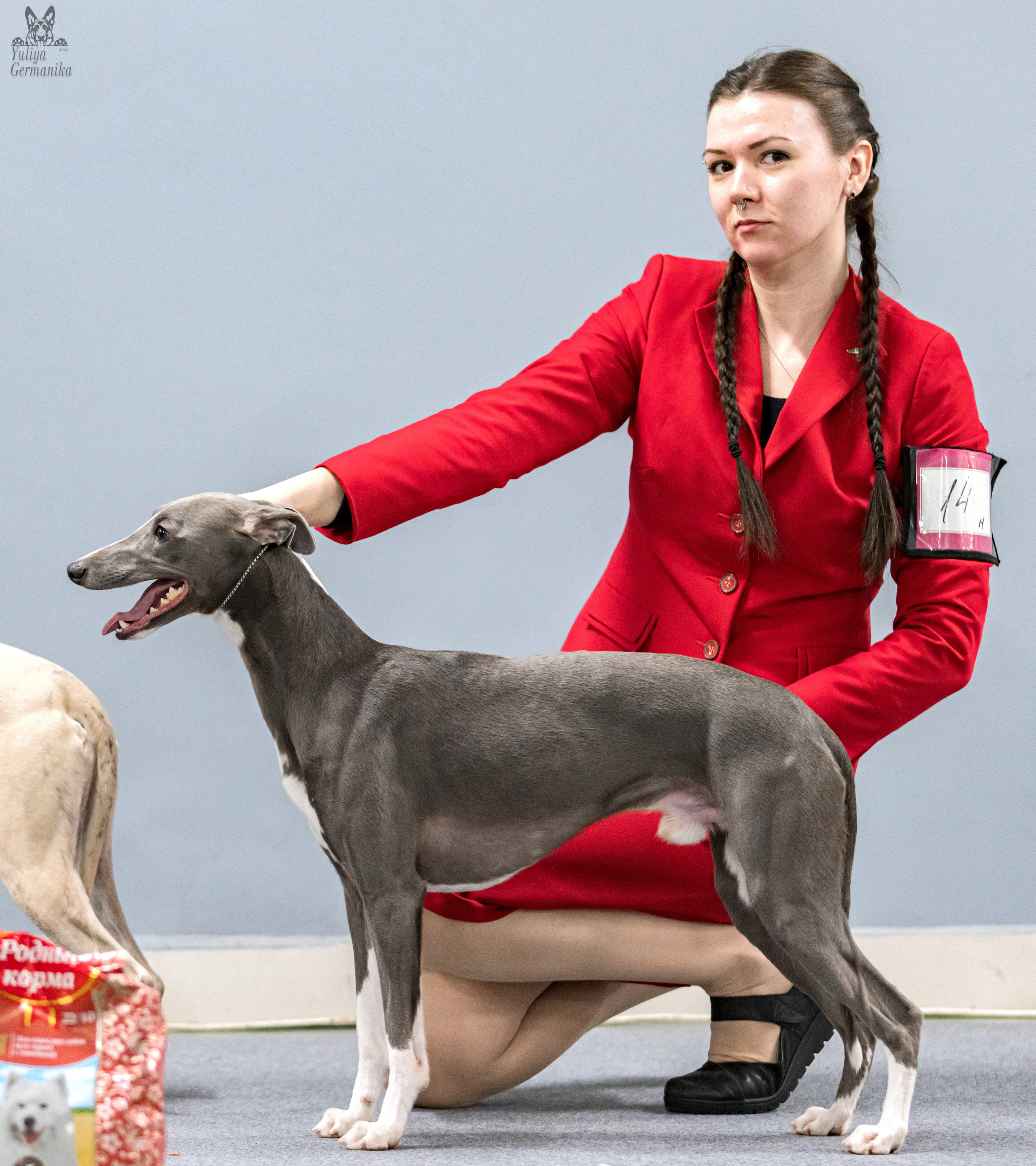 Сфера 5.03.2023. Фотограф-анималист Юлия Германика