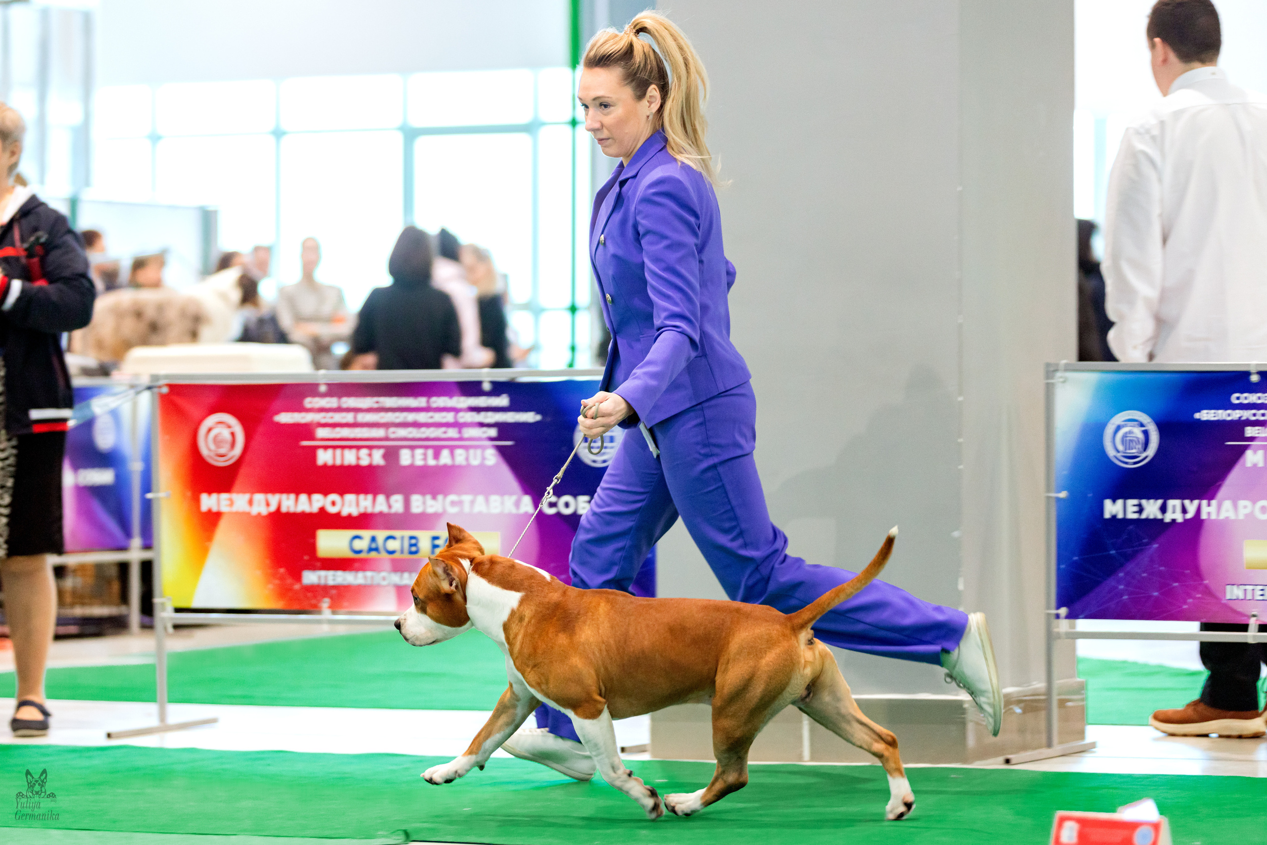 Минск 25-26.02.2023. Фотограф-анималист Юлия Германика