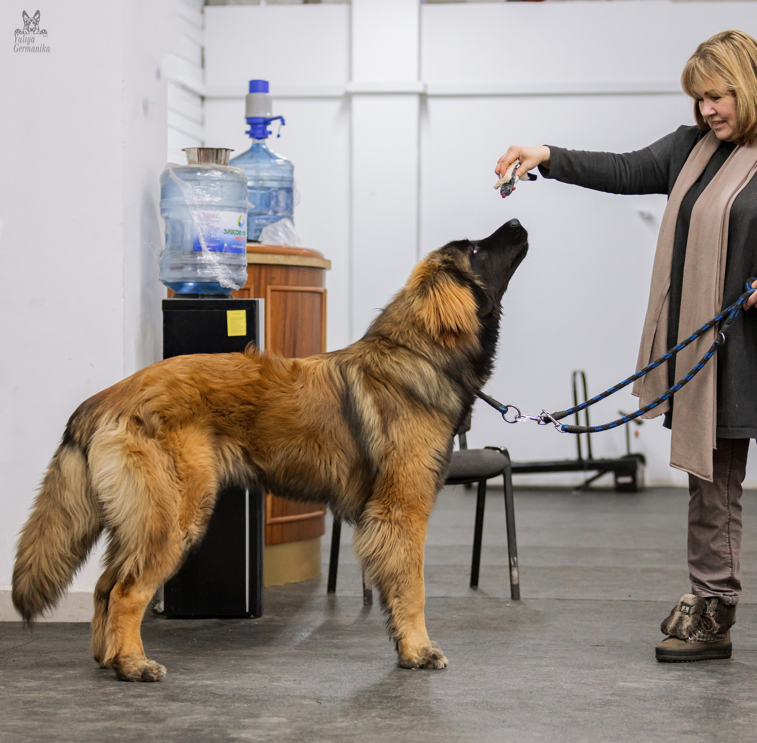 Чайна-Таун 4-5.02.2023. Фотограф-анималист Юлия Германика