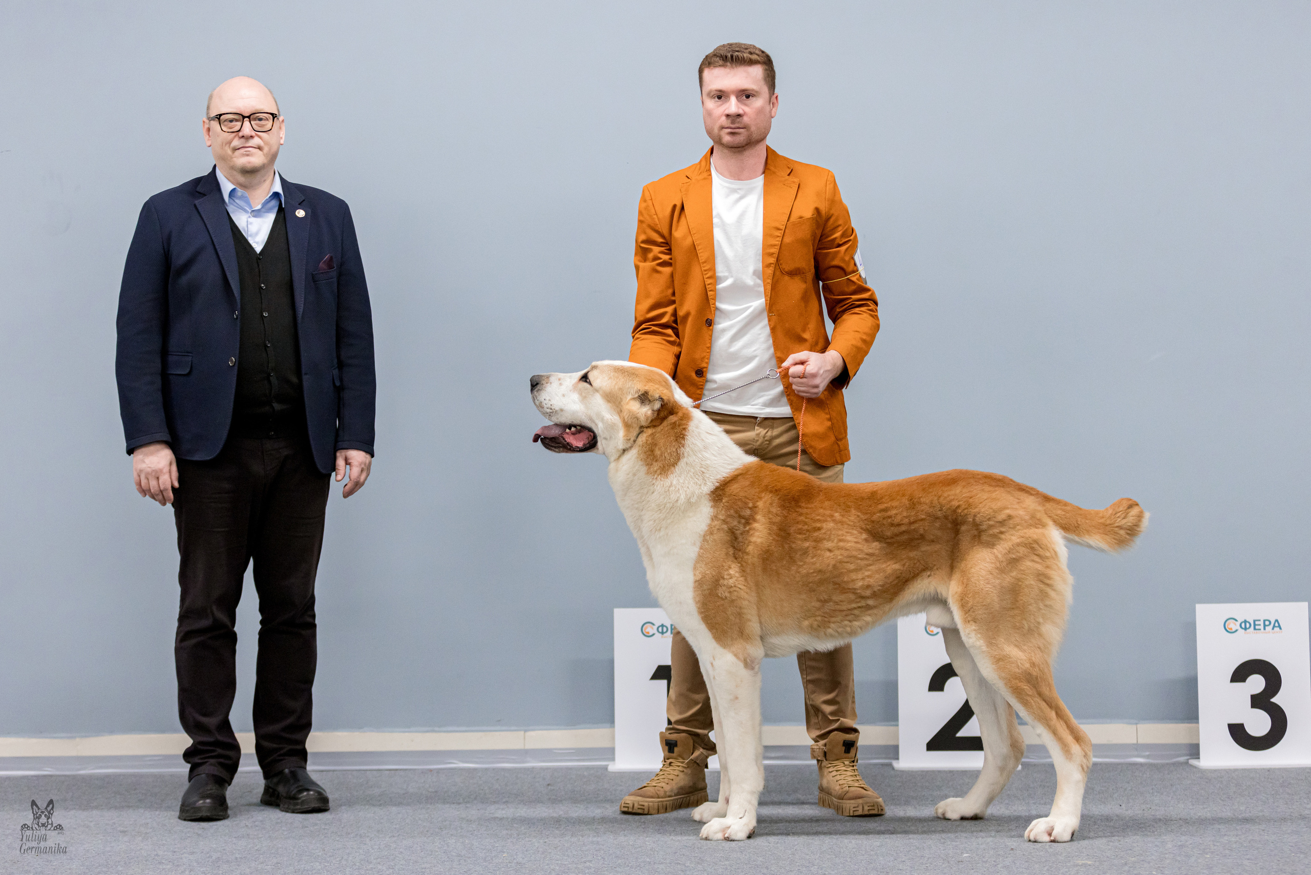 Сфера 5.03.2023. Фотограф-анималист Юлия Германика