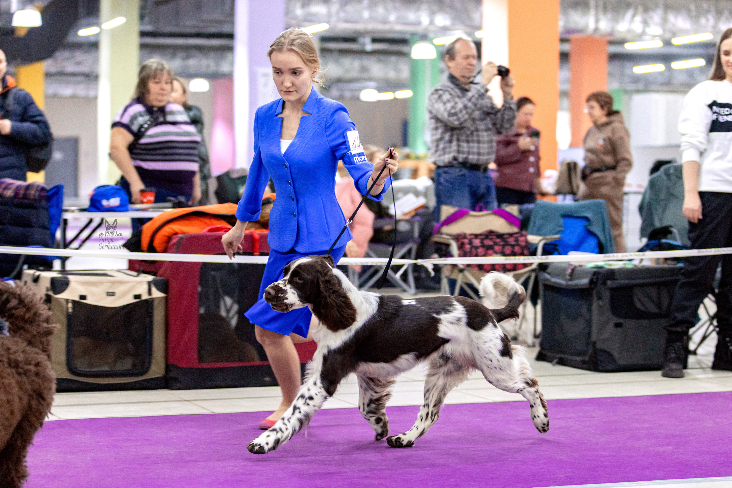 Чайна-Таун 15,21 и 22.01.2023. Фотограф-анималист Юлия Германика