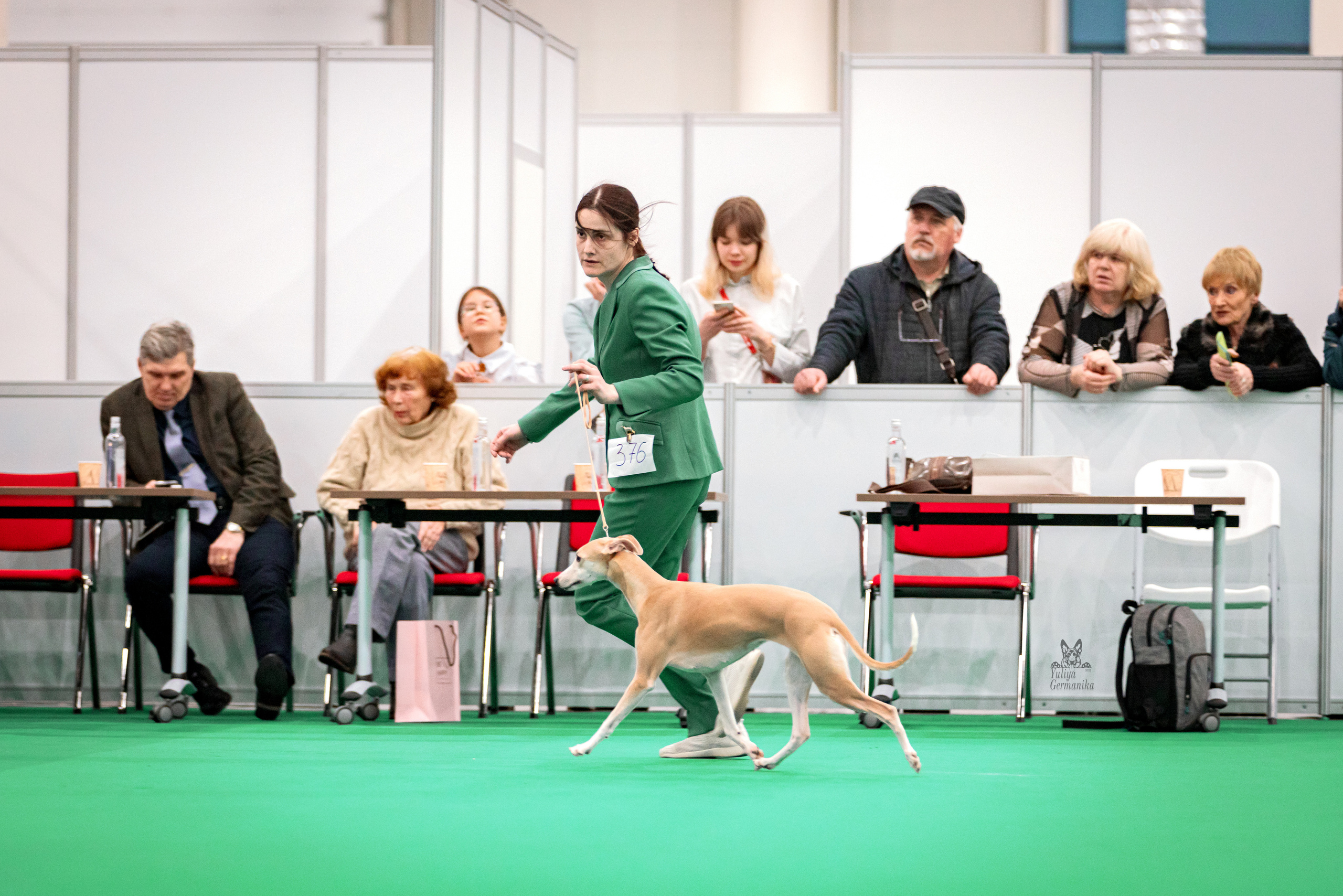 Казань 11.03.2023. Фотограф-анималист Юлия Германика