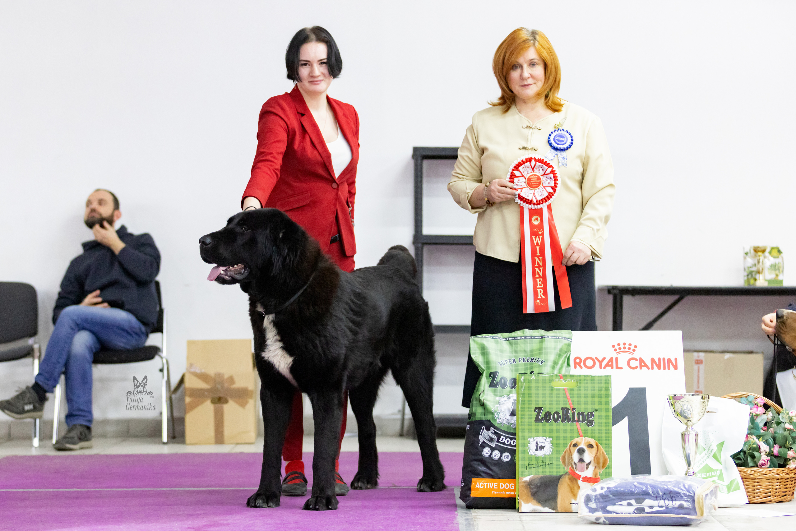 Чайна-Таун 4-5.02.2023. Фотограф-анималист Юлия Германика