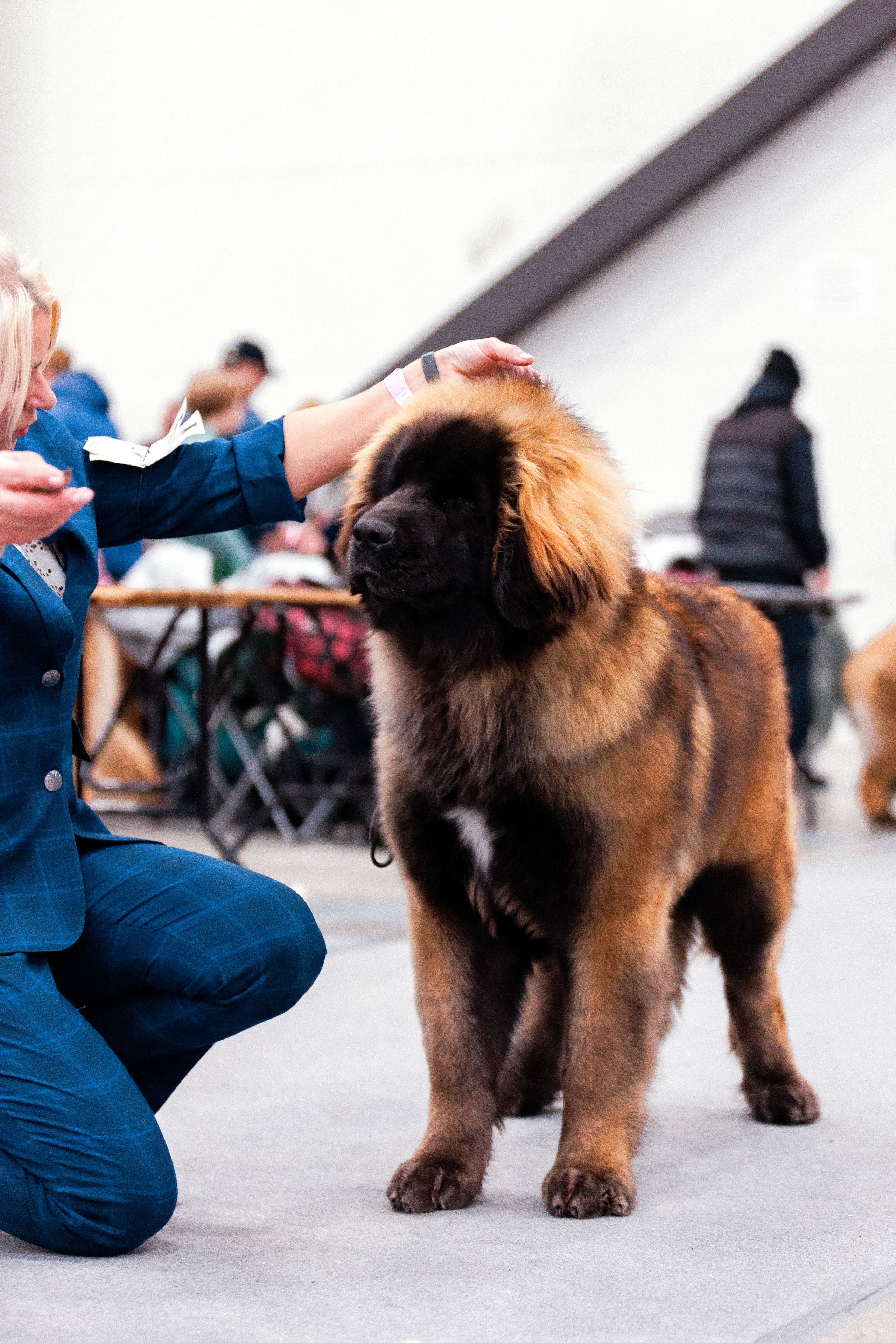 Питер 17-18.12.2022. Фотограф-анималист Юлия Германика