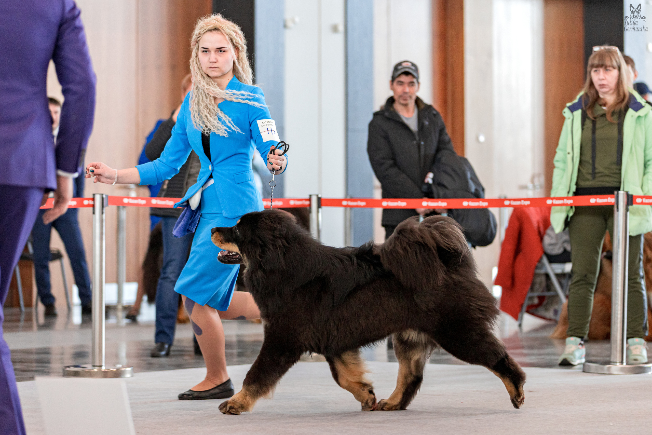 Казань 11.03.2023. Фотограф-анималист Юлия Германика