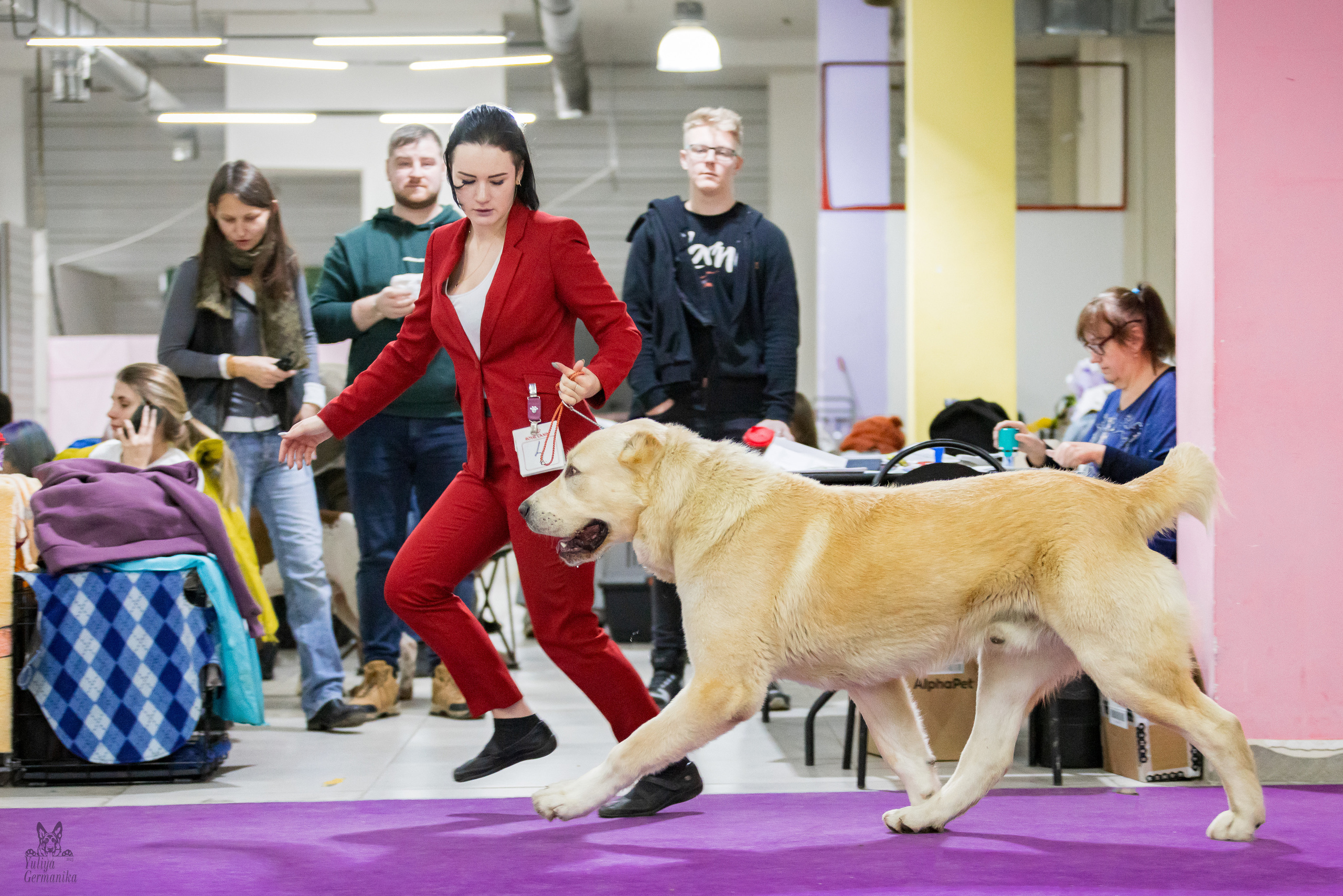 Чайна-Таун 5-8.01.2023. Фотограф-анималист Юлия Германика