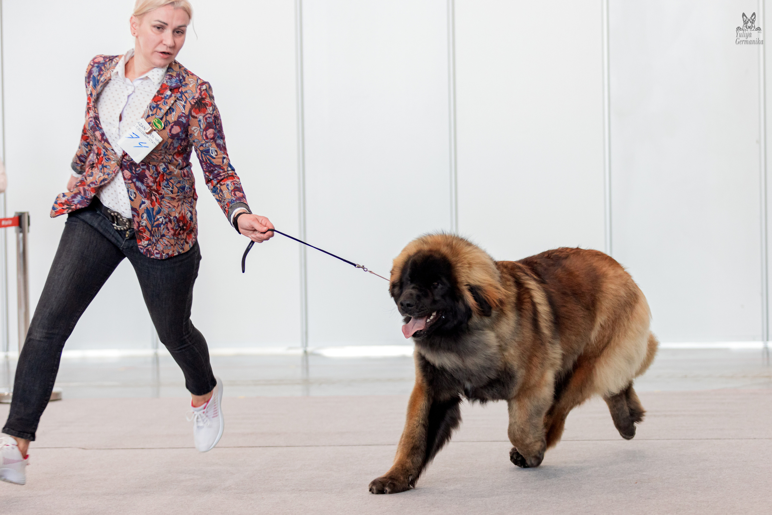 Казань 11.03.2023. Фотограф-анималист Юлия Германика