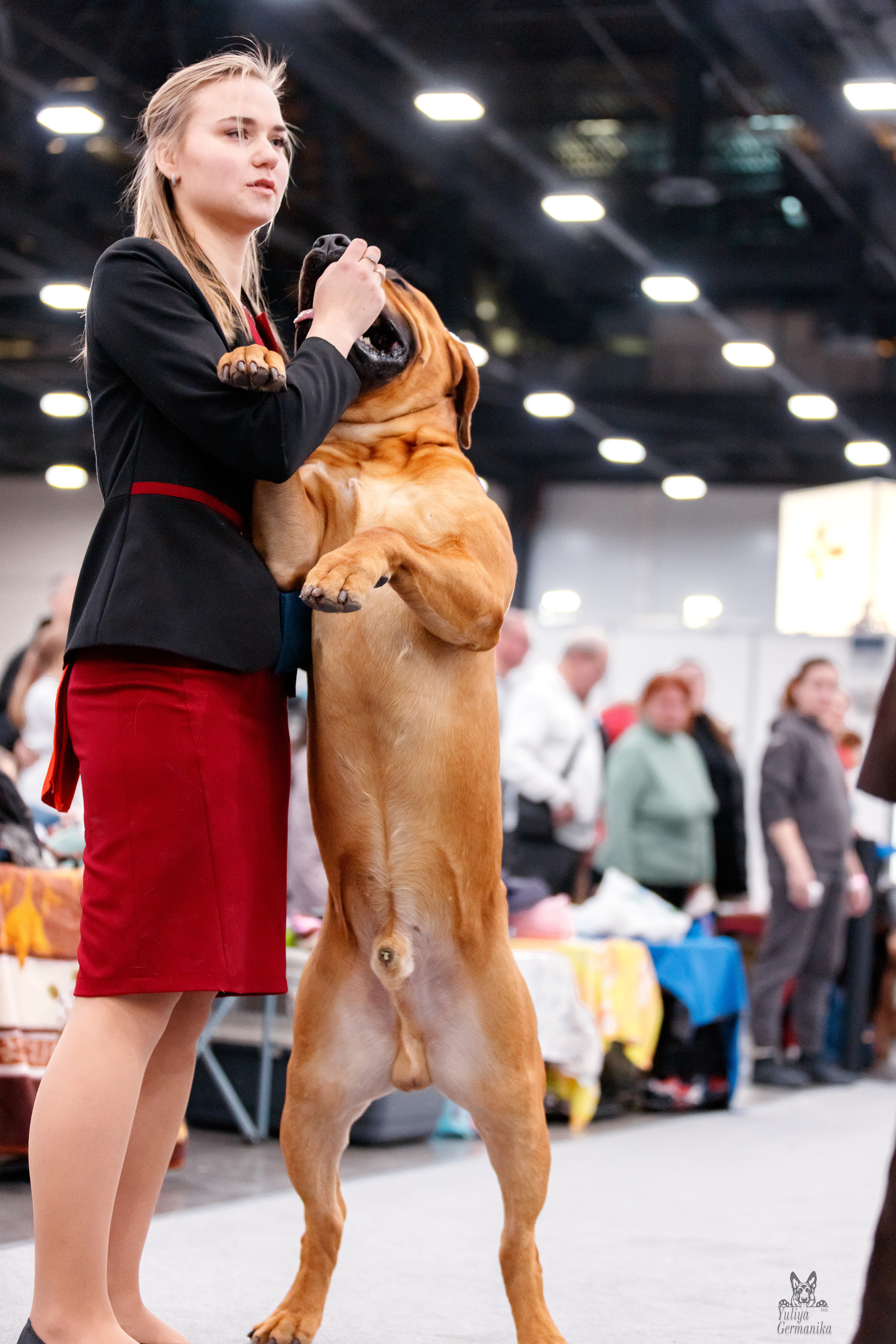 Питер 17-18.12.2022. Фотограф-анималист Юлия Германика