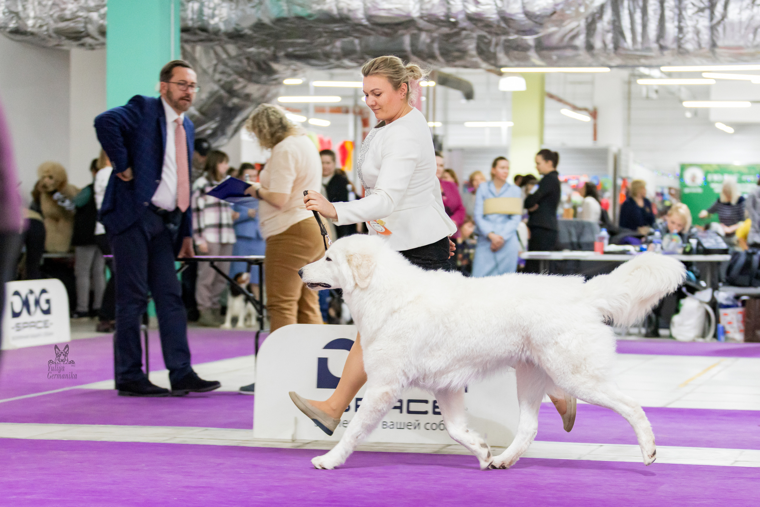 Чайна-Таун 24-25.12.2022. Фотограф-анималист Юлия Германика