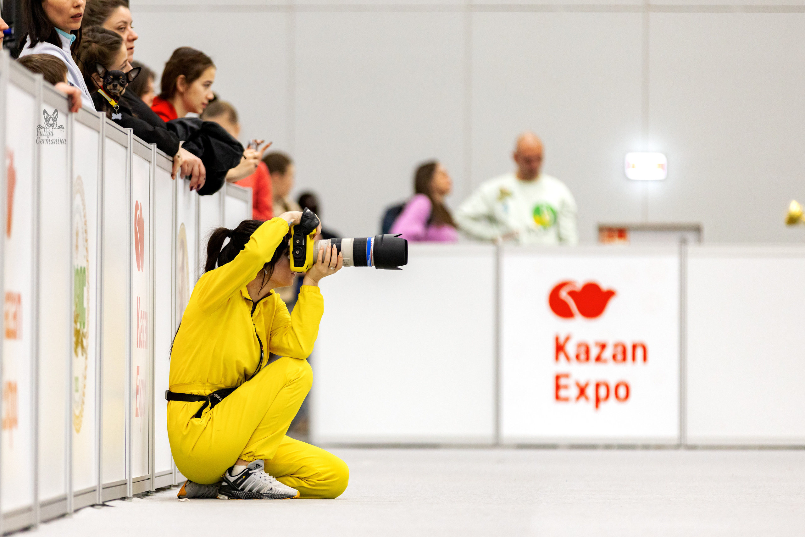 Сабанеевка,Казань 28-29.01.2023. Фотограф-анималист Юлия Германика