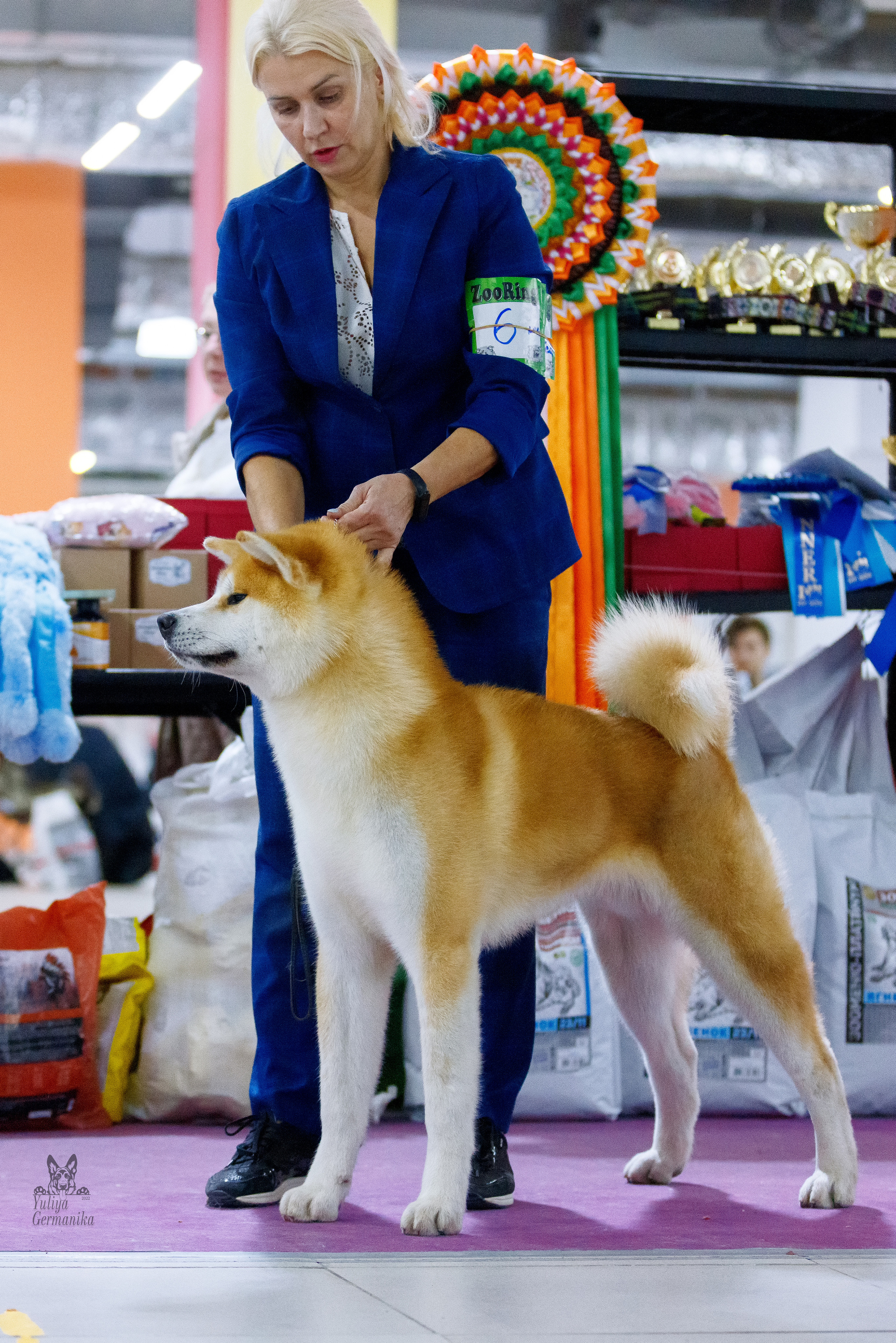 Чайна-Таун 3 и 10.12.2022. Фотограф-анималист Юлия Германика