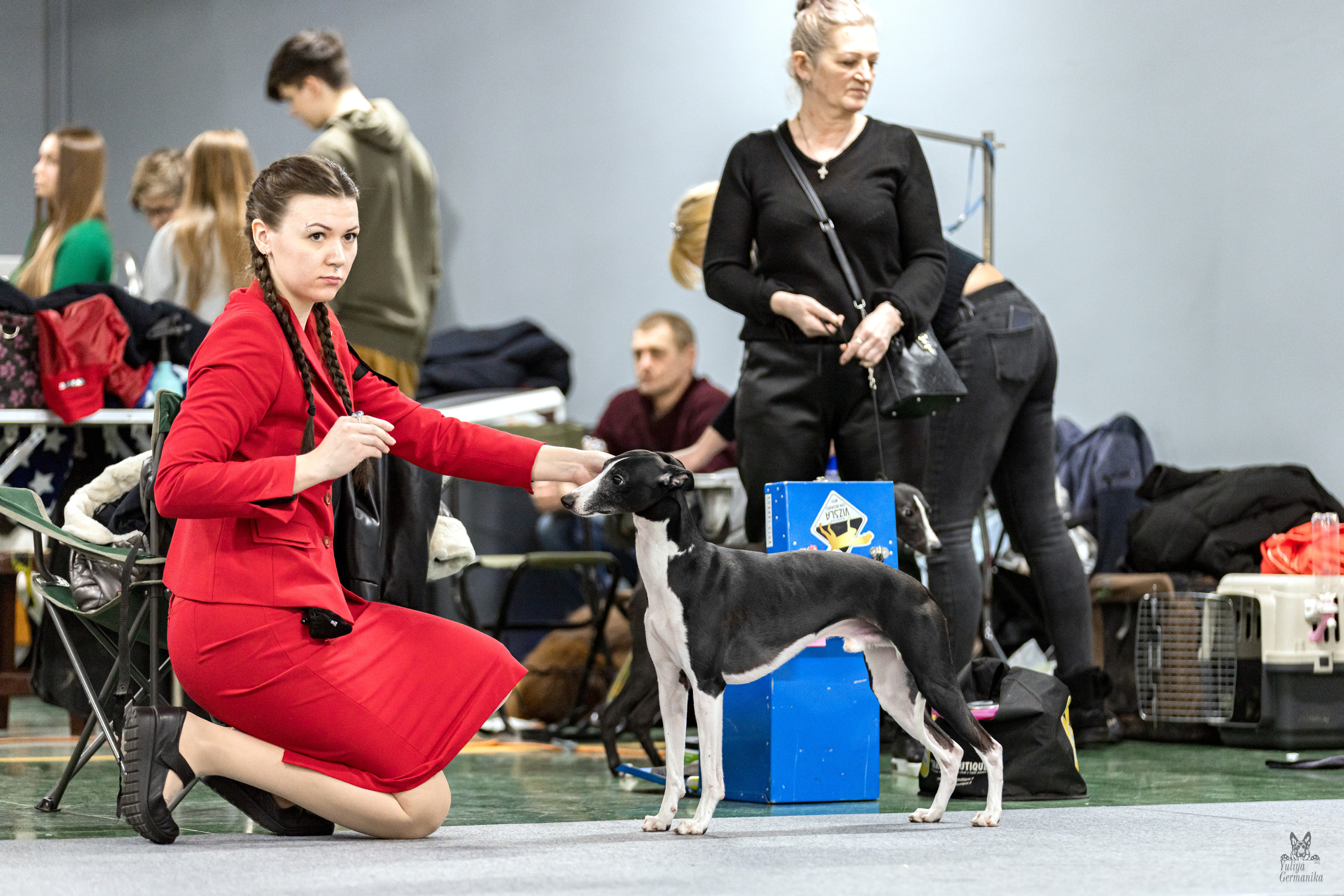 Сфера 5.03.2023. Фотограф-анималист Юлия Германика