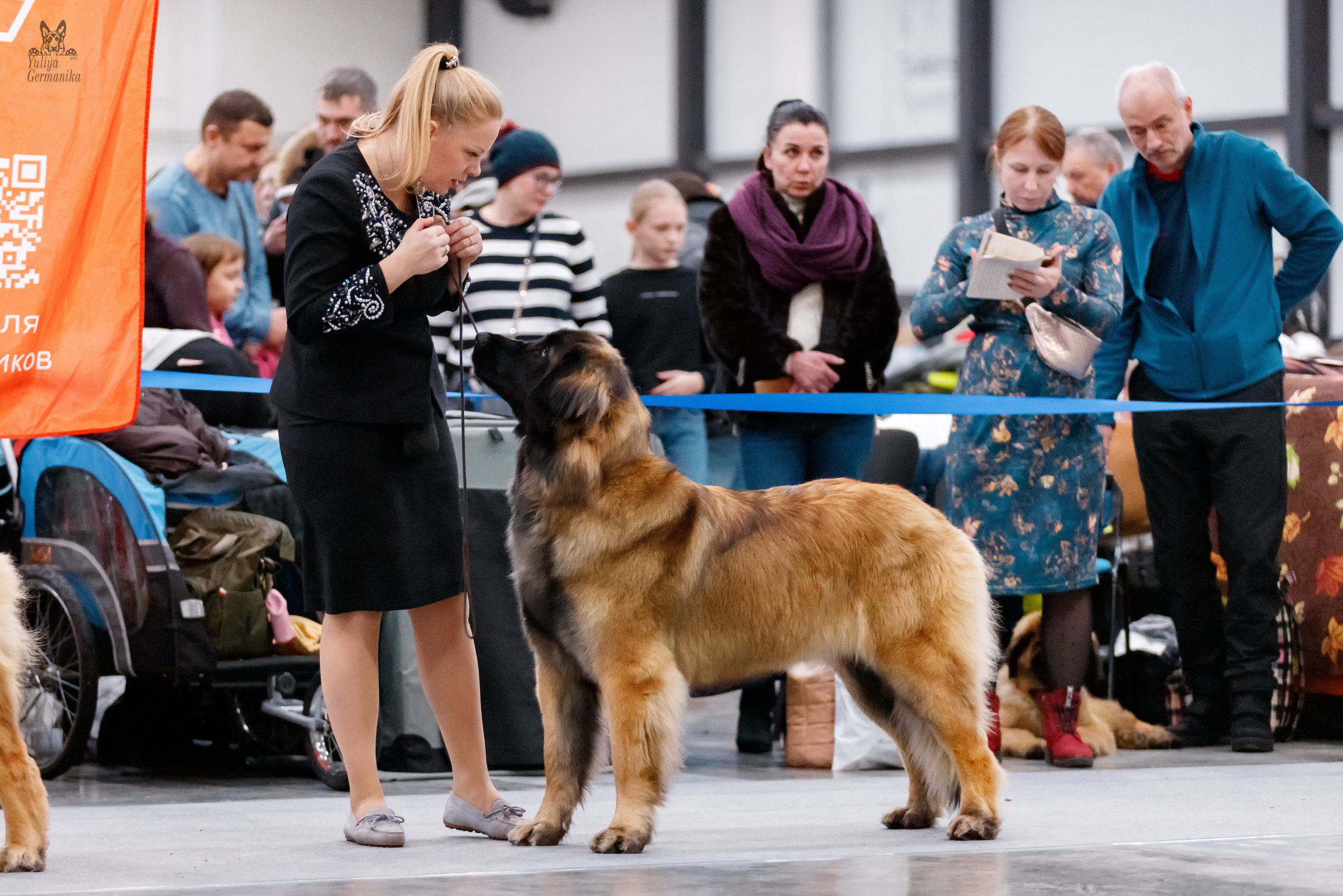 Питер 17-18.12.2022. Фотограф-анималист Юлия Германика