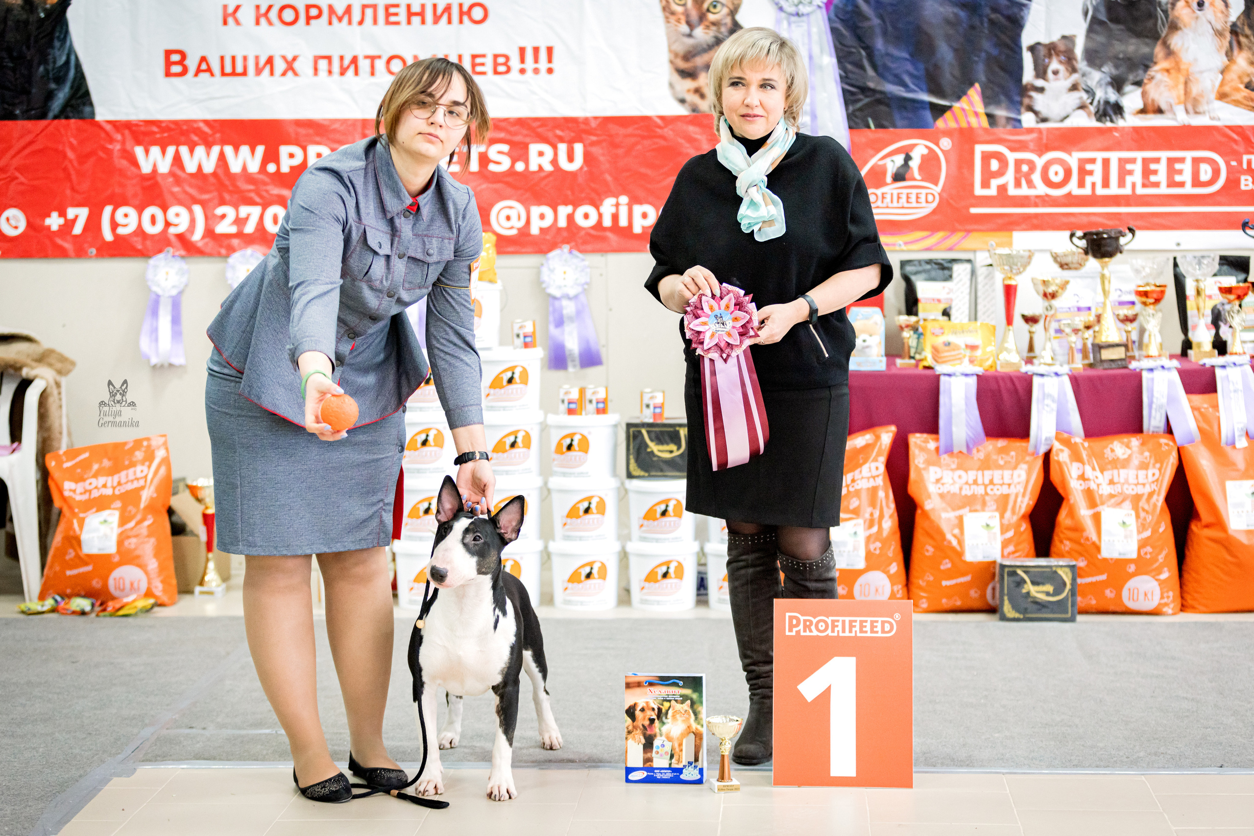 Тверь 19.02.2023. Фотограф-анималист Юлия Германика