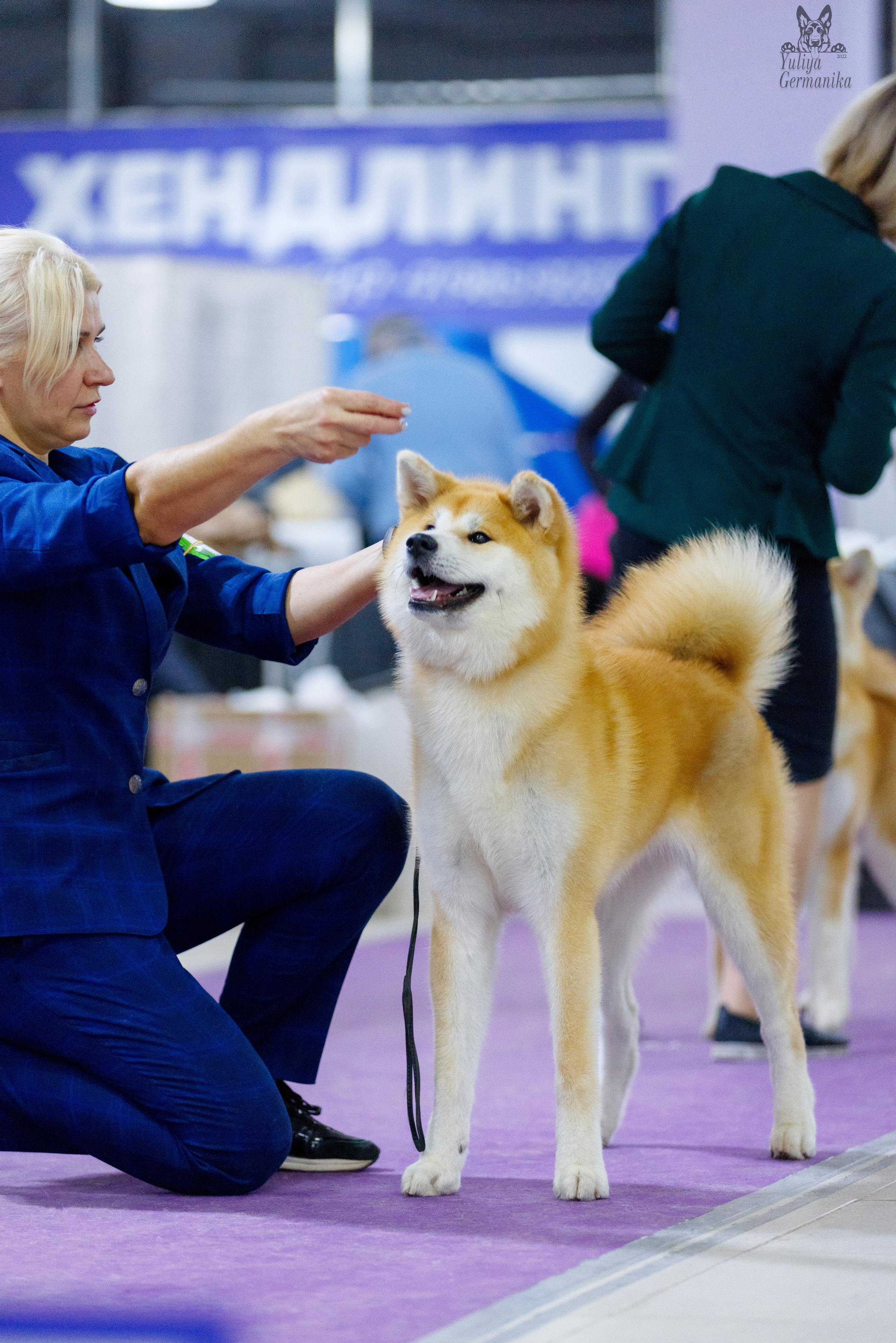 Чайна-Таун 3 и 10.12.2022. Фотограф-анималист Юлия Германика