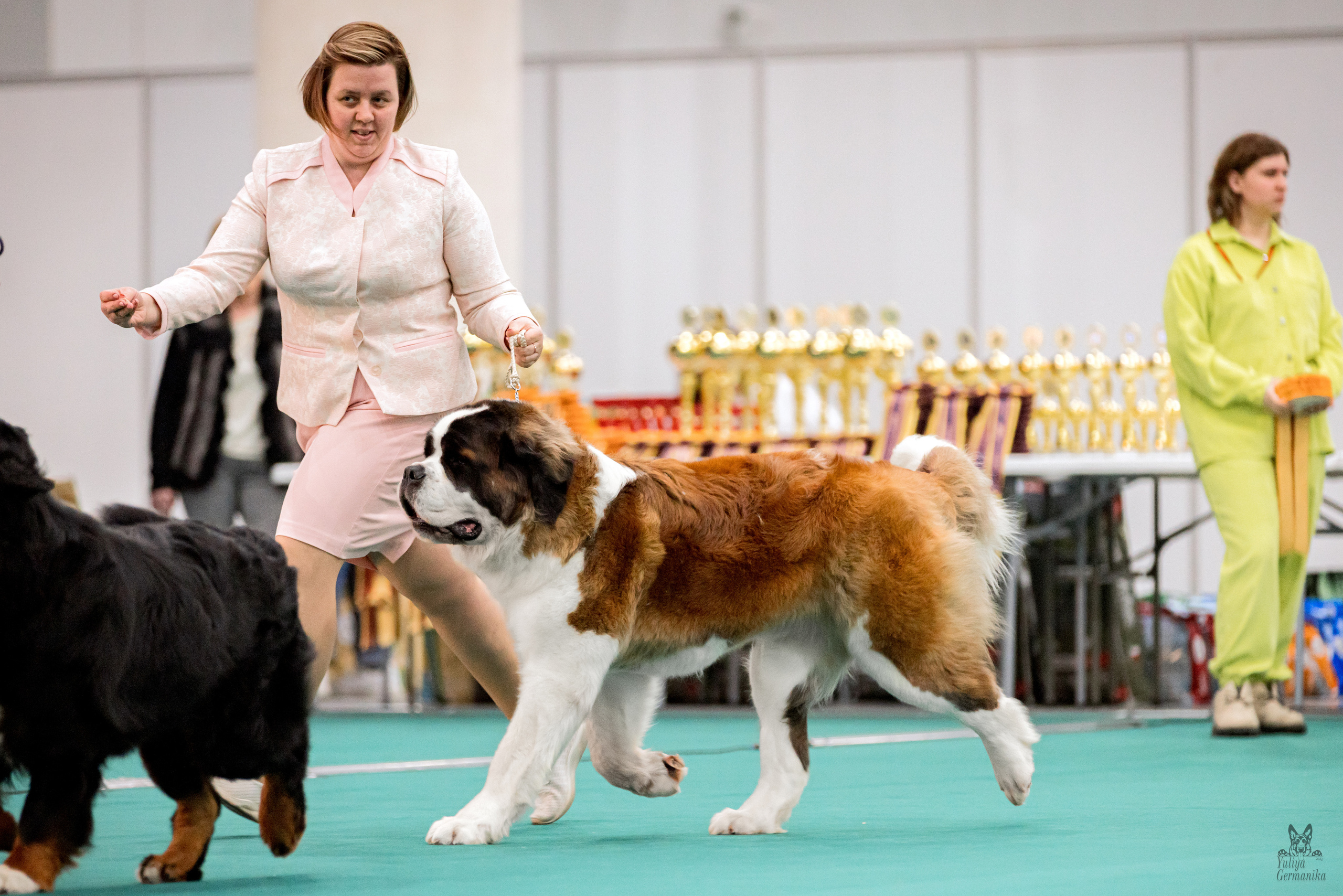 Казань 11.03.2023. Фотограф-анималист Юлия Германика