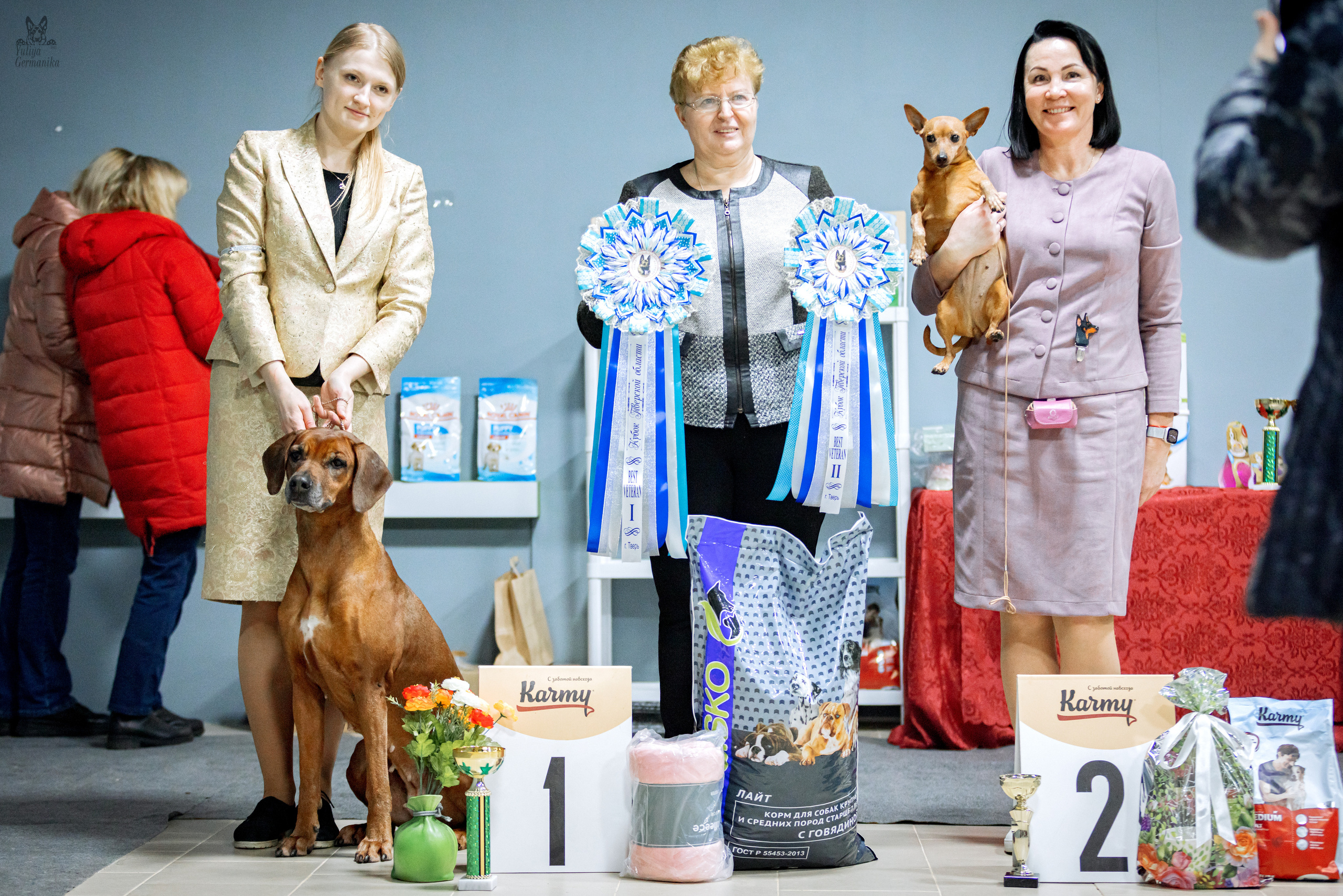 Тверь 19.02.2023. Фотограф-анималист Юлия Германика