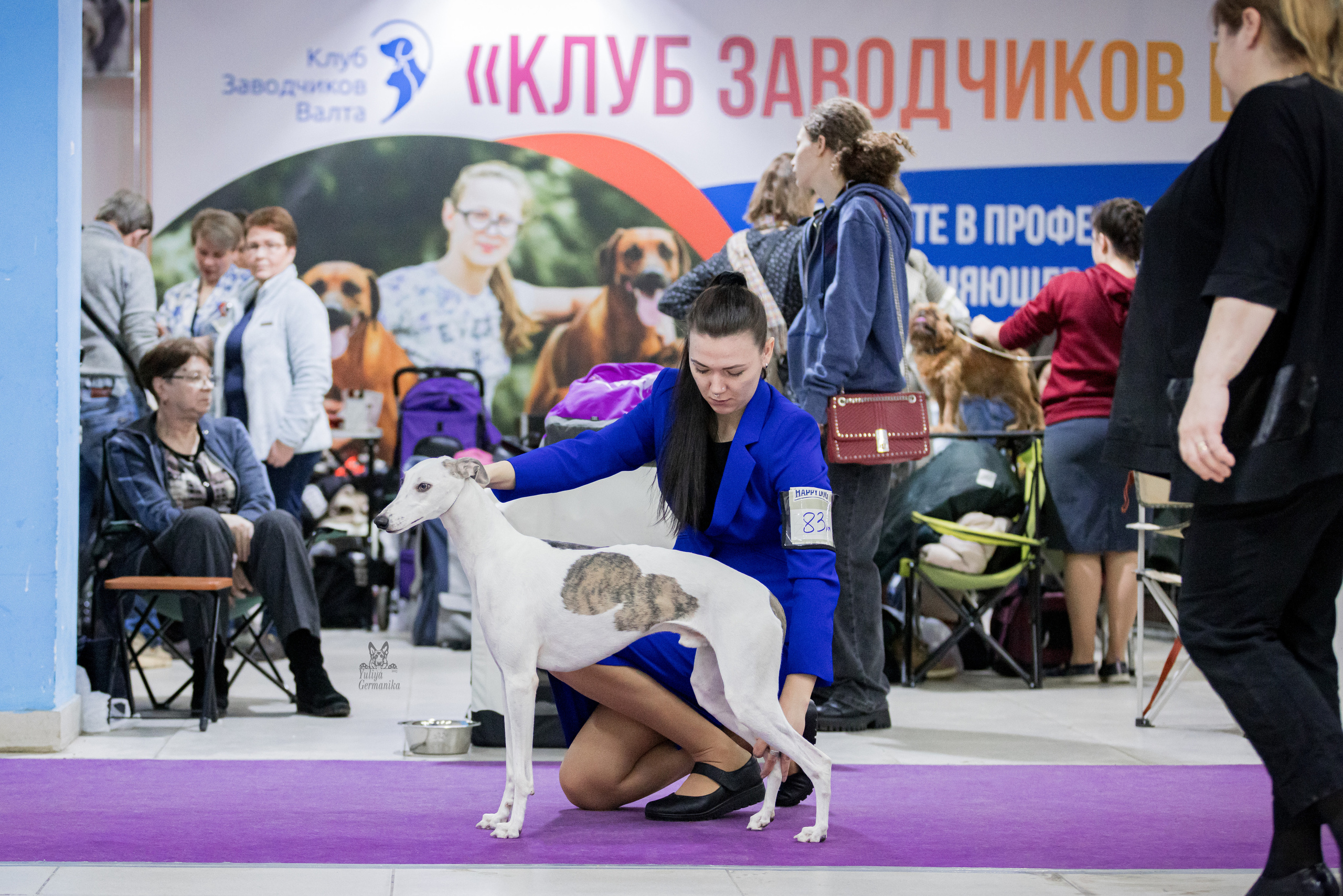 Чайна-Таун 5-8.01.2023. Фотограф-анималист Юлия Германика