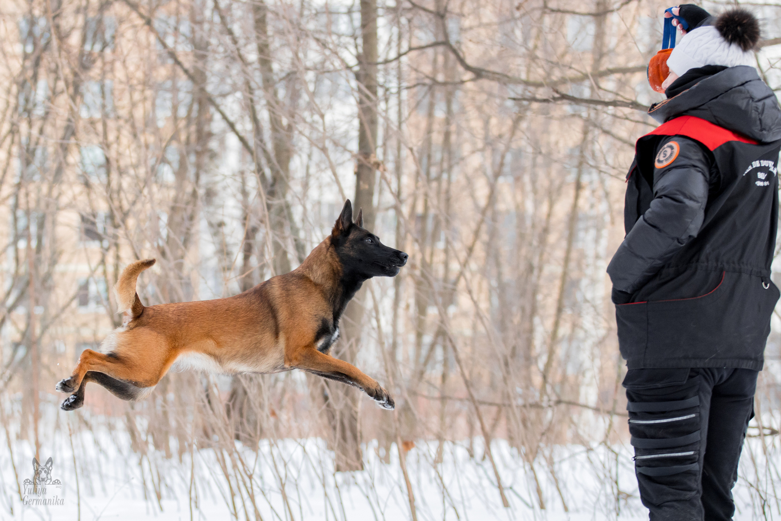 Свободная съемка. Фотограф-анималист Юлия Германика