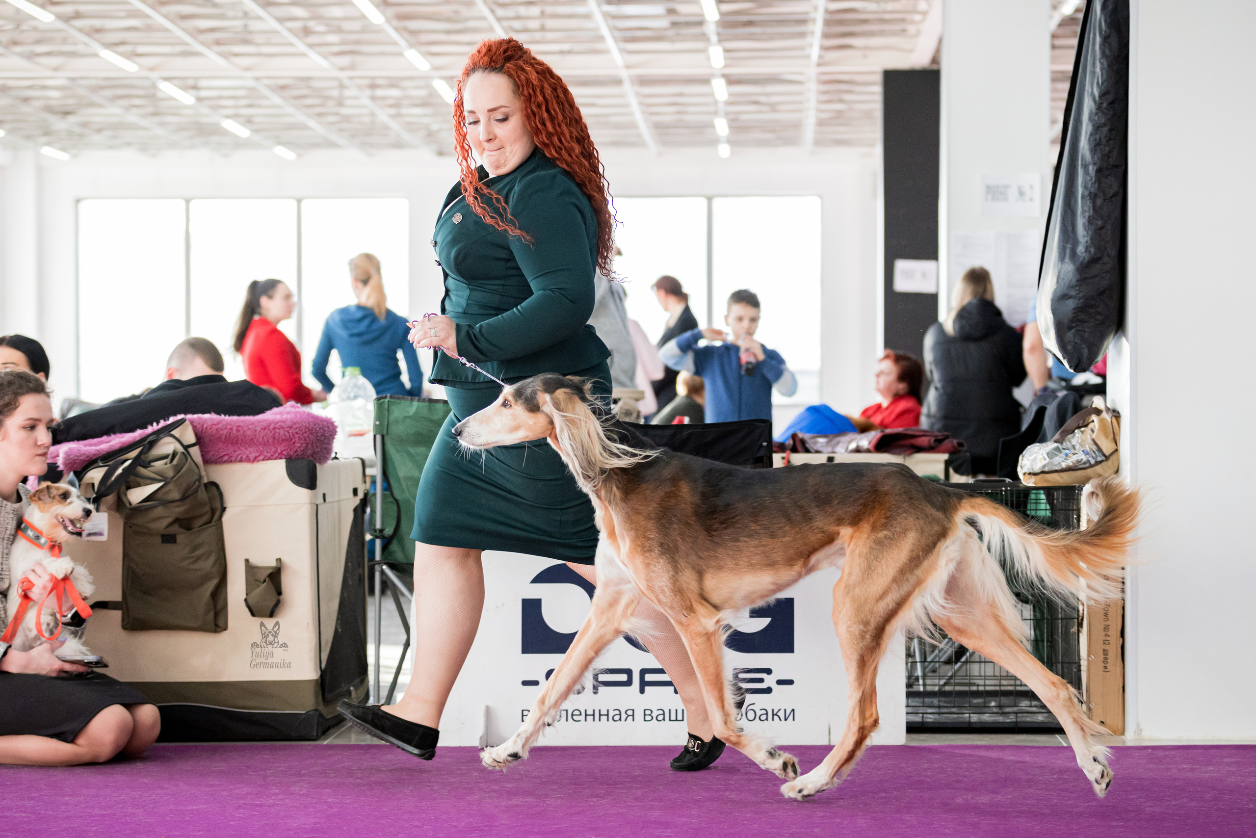 Можайский двор 11-12.02.2023. Фотограф-анималист Юлия Германика