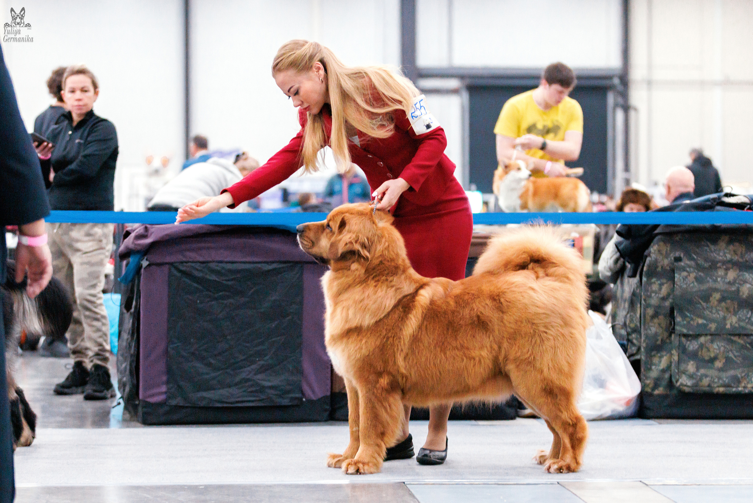 Питер 17-18.12.2022. Фотограф-анималист Юлия Германика