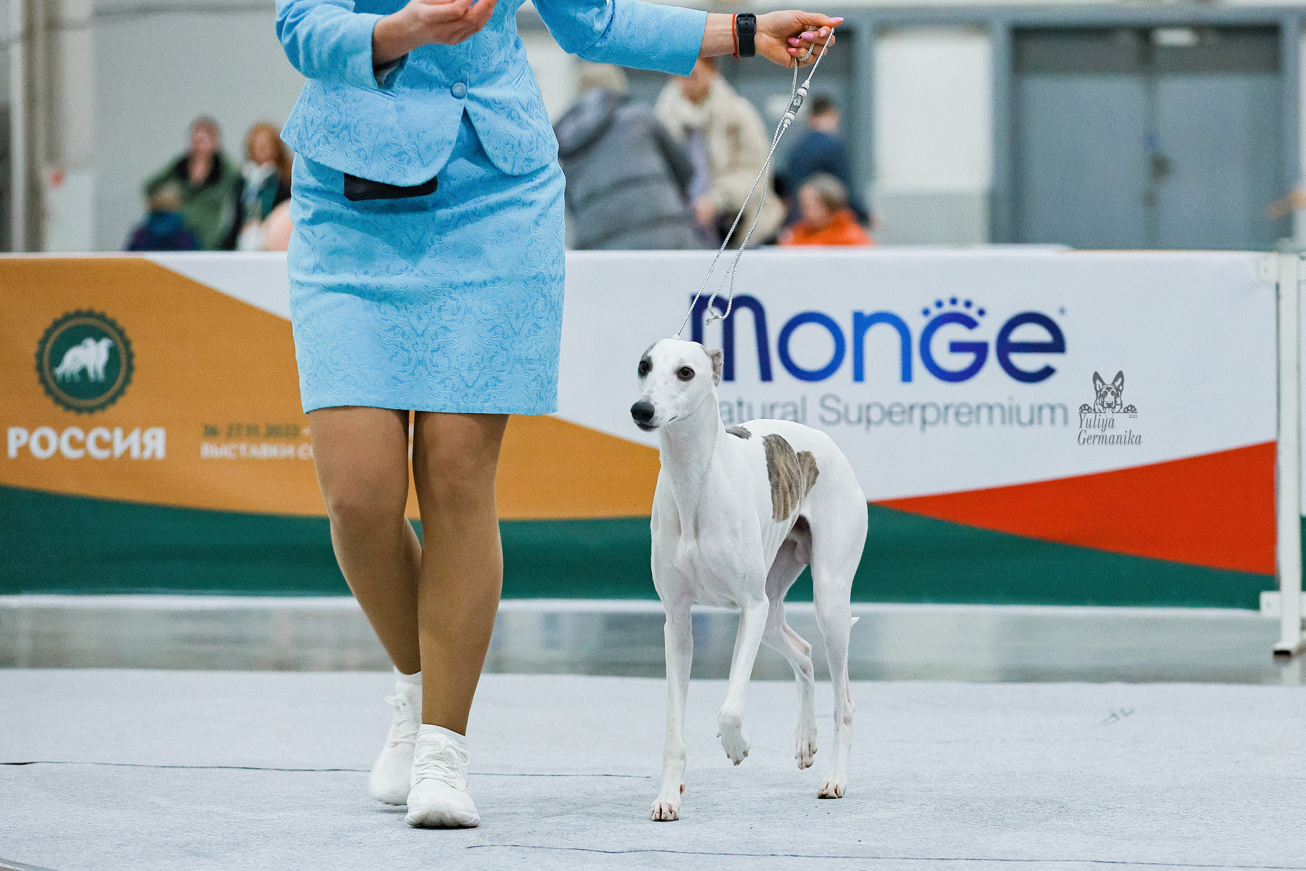 Россия 2020-2022 26-27.11.2022. Фотограф-анималист Юлия Германика