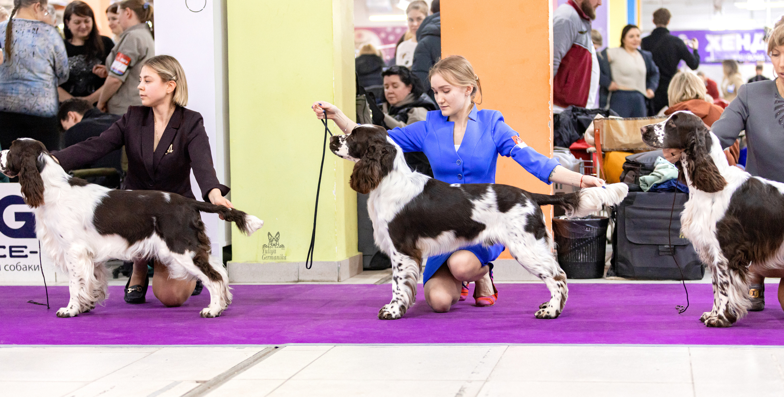 Чайна-Таун 15,21 и 22.01.2023. Фотограф-анималист Юлия Германика