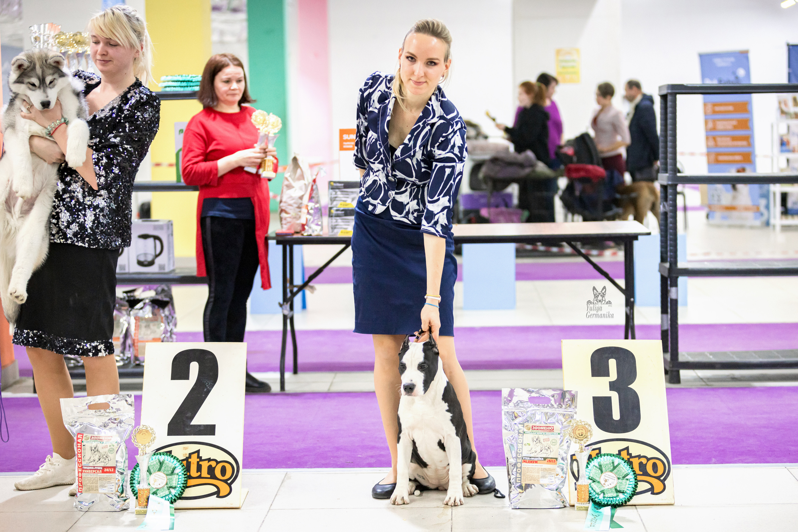 Чайна-Таун 15,21 и 22.01.2023. Фотограф-анималист Юлия Германика