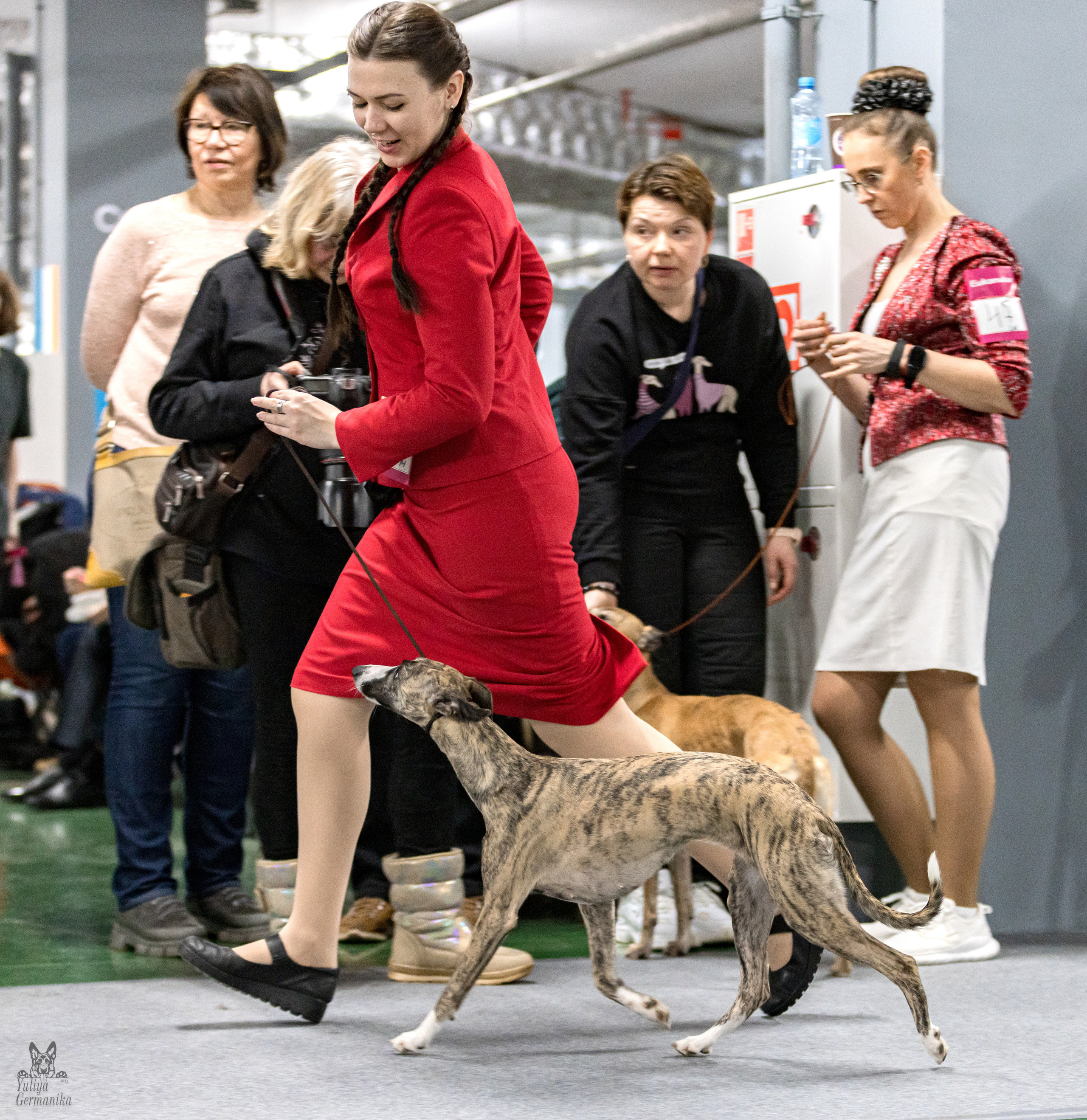 Сфера 5.03.2023. Фотограф-анималист Юлия Германика