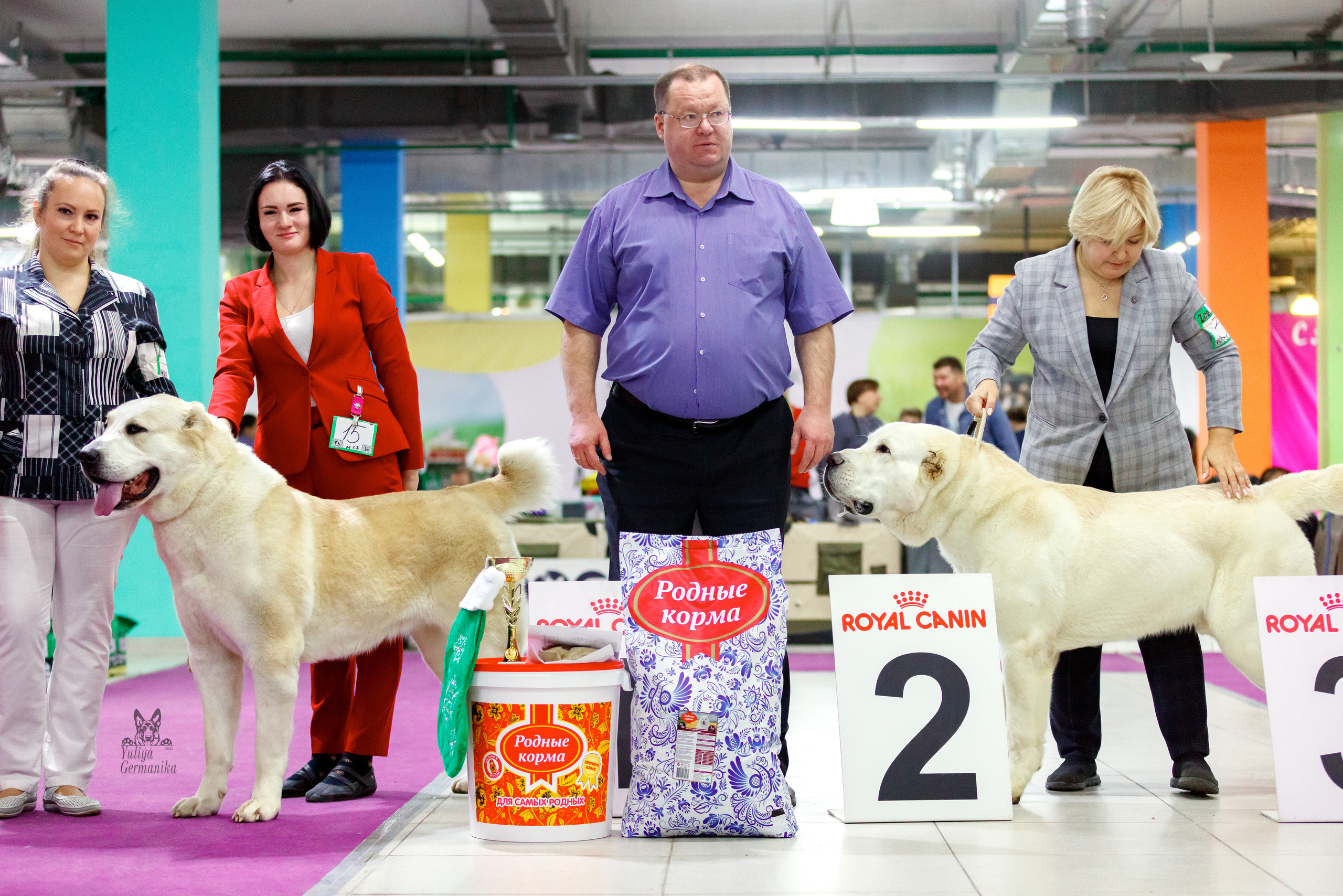 Чайна-Таун 3 и 10.12.2022. Фотограф-анималист Юлия Германика