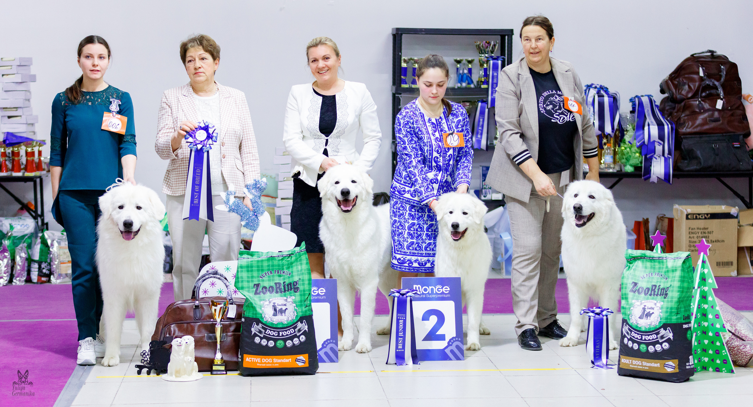 Чайна-Таун 24-25.12.2022. Фотограф-анималист Юлия Германика