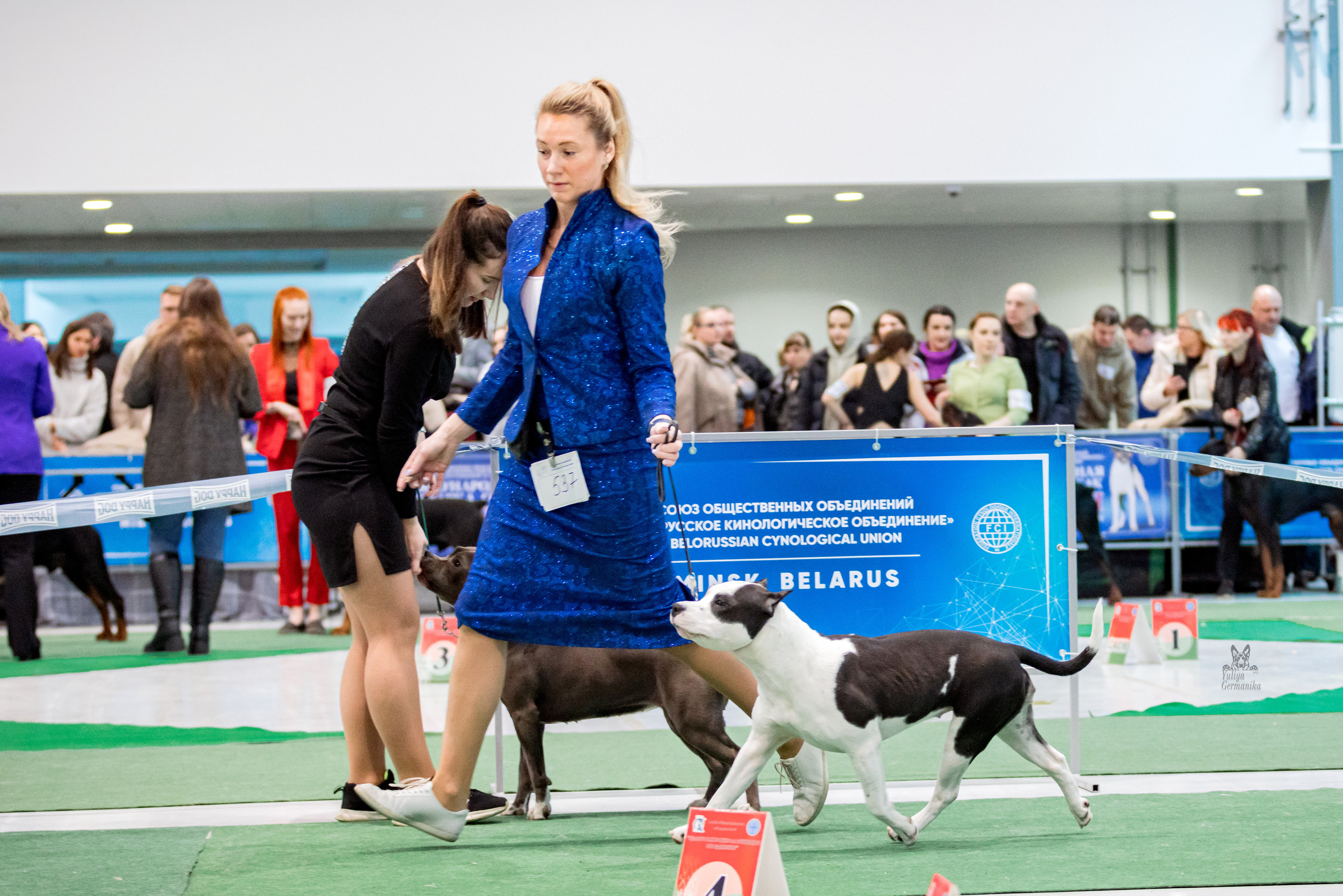 Минск 25-26.02.2023. Фотограф-анималист Юлия Германика